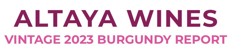 BURGUNDY REPORT VINTAGE 2023