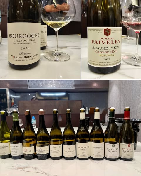 Burgundy Q2 Trade Tasting | Event Recap