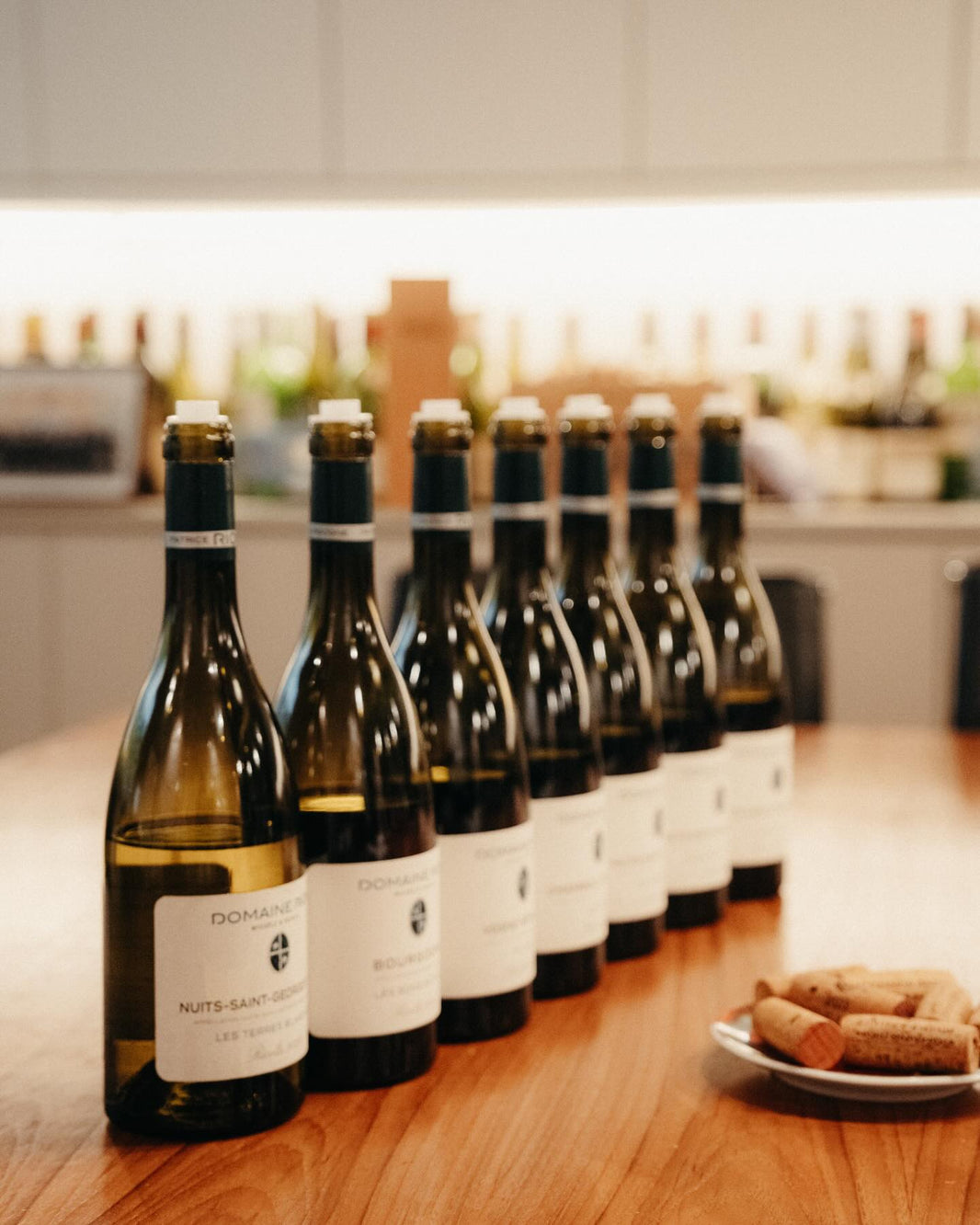 Domaine Michèle & Patrice Rion — Côte de Nuits in Focus