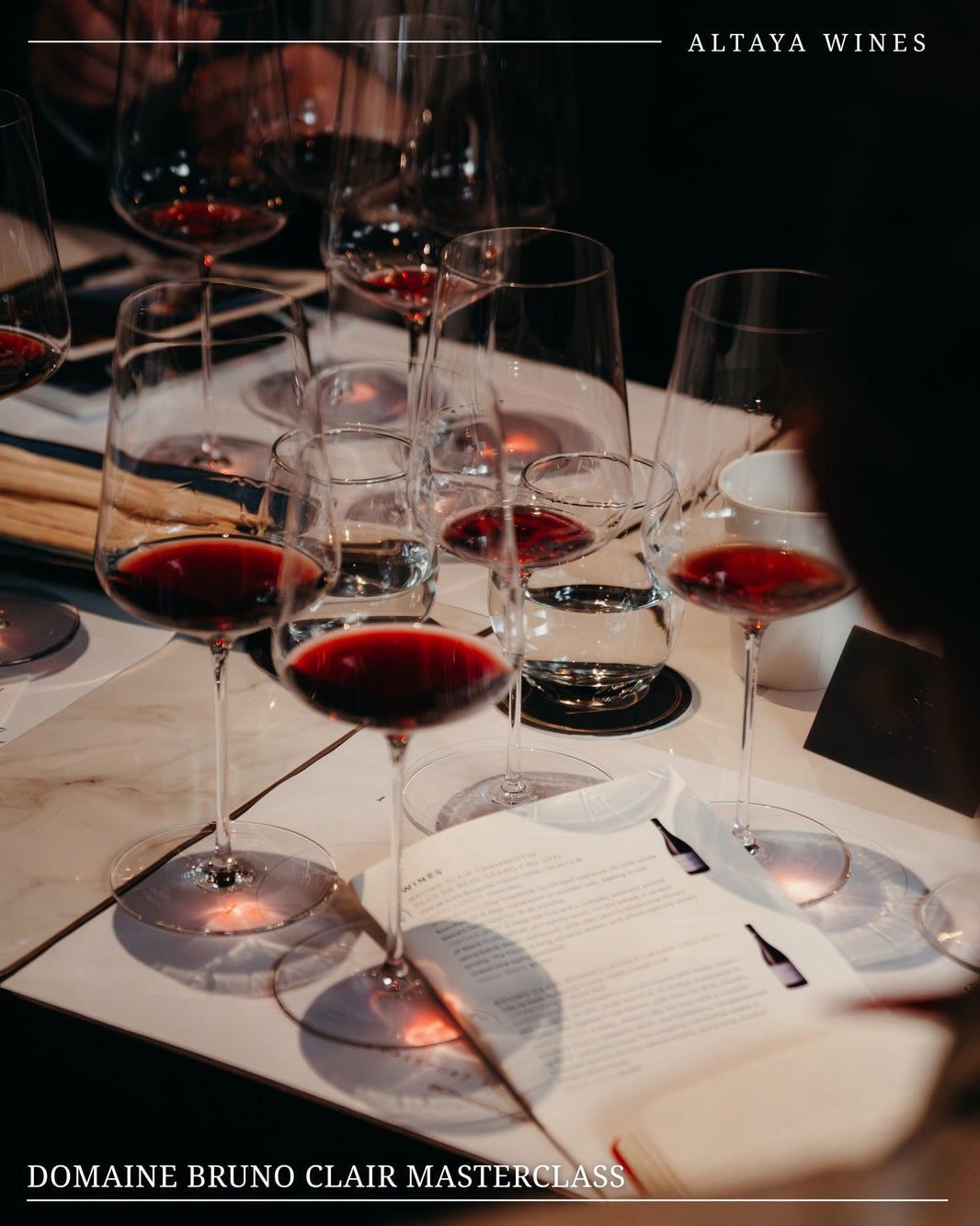 Trade Masterclass in Marsannay and Beyond: Exploring Domaine Bruno Clair