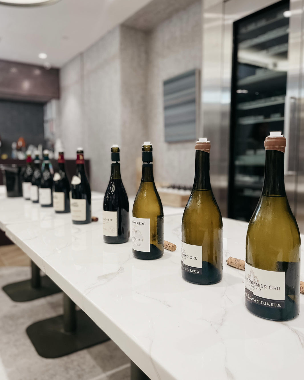 Burgundy Q2 Trade Tasting 2026