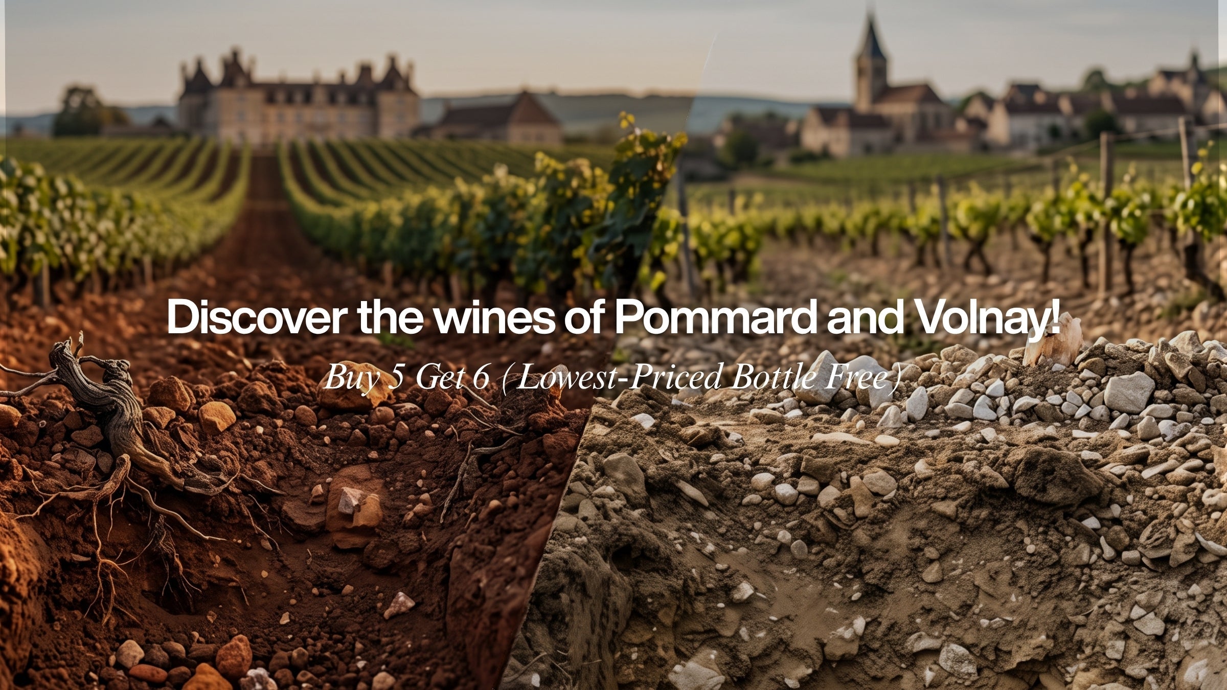 Discover the wines of Pommard and Volnay!
