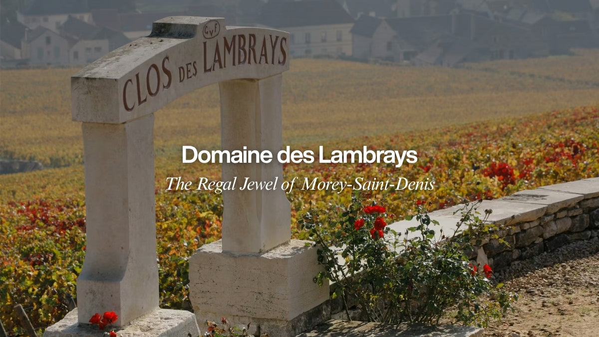 Domaine des Lambrays: The Regal Jewel of Morey-Saint-Denis