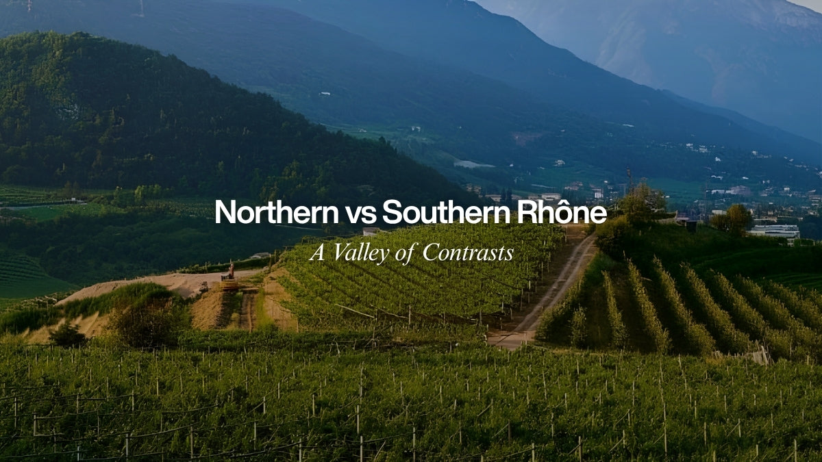 Northern vs Southern Rhône