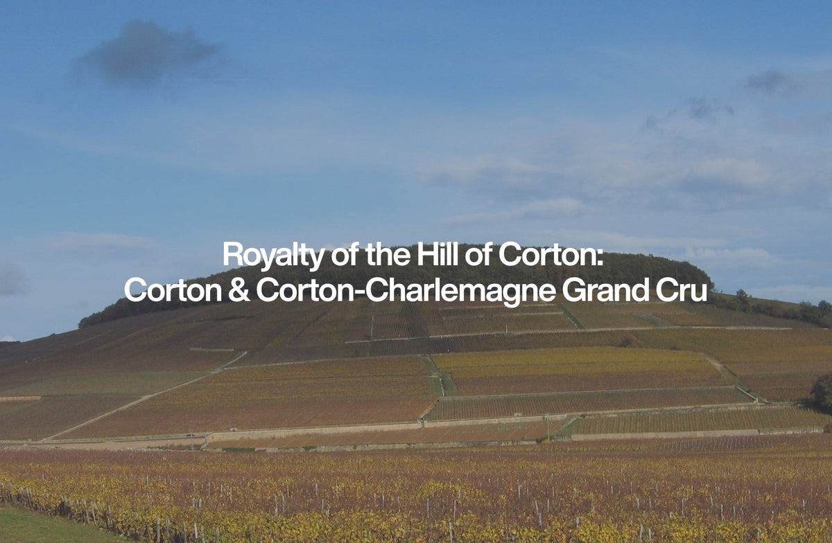 Royalty of the Hill of Corton:  Corton & Corton-Charlemagne Grand Cru