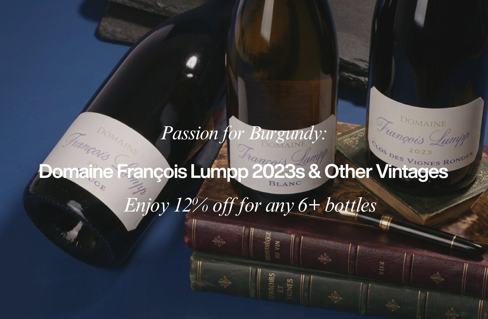 Passion for Burgundy: Domaine François Lumpp 2023s & Other Vintages