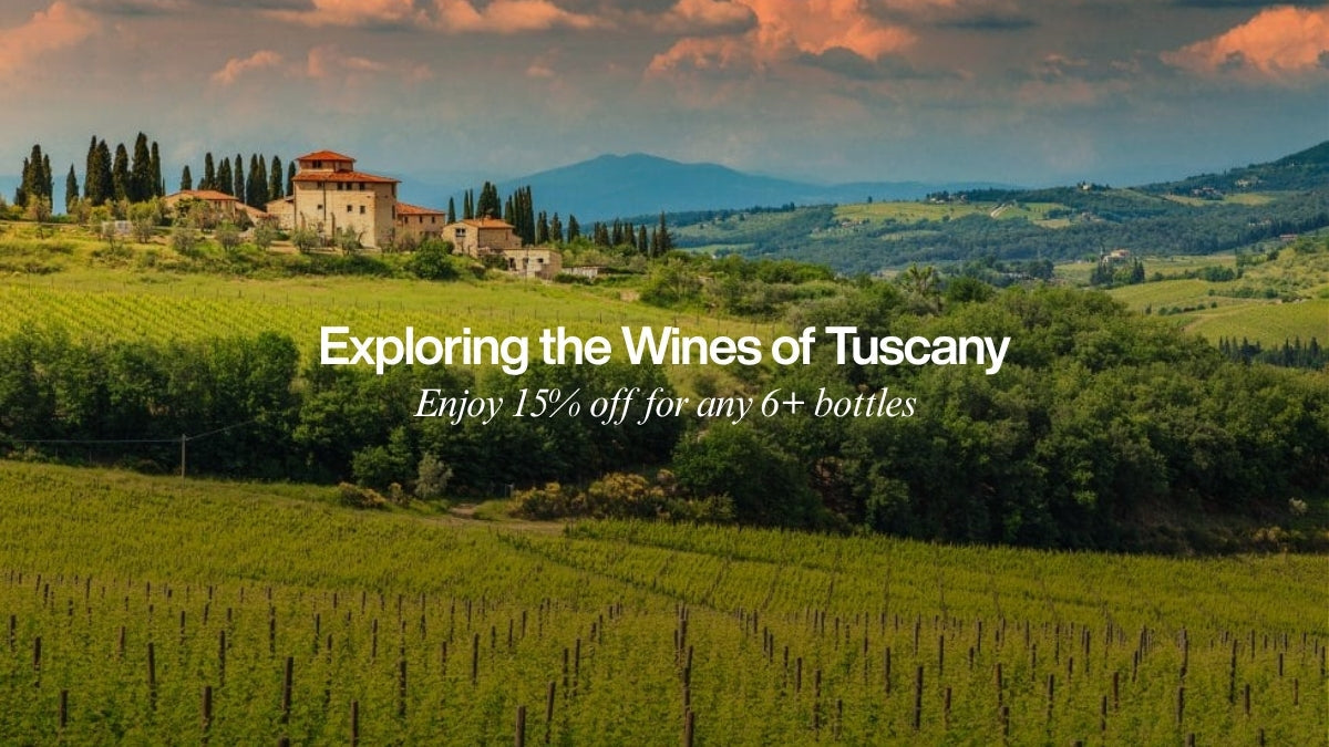 Exploring the Wines of Tuscany