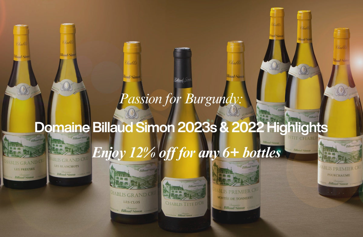 Passion for Burgundy: Domaine Billaud Simon 2023s & Other Vintages