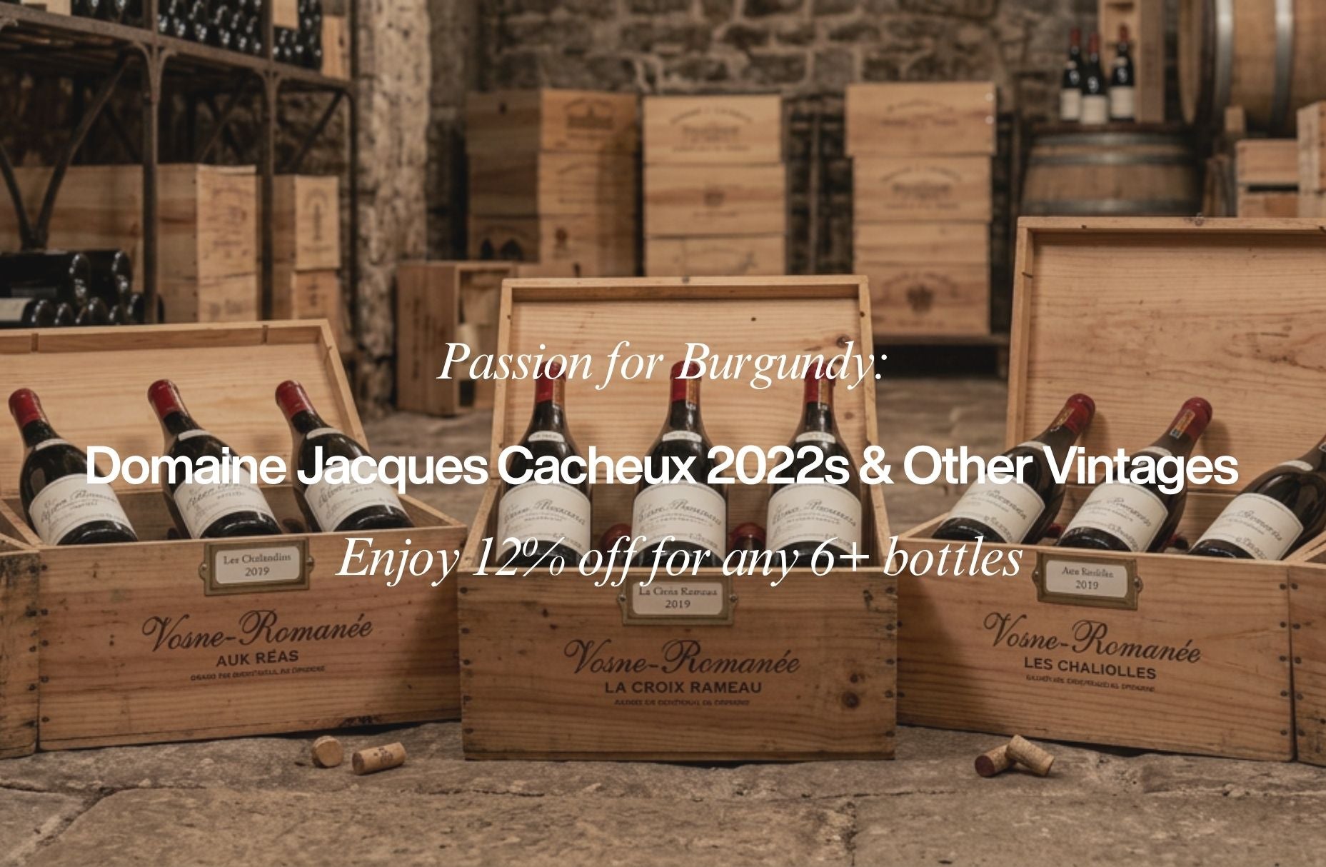 Passion for Burgundy: Domaine Jacques Cacheux 2022s & Other Vintages