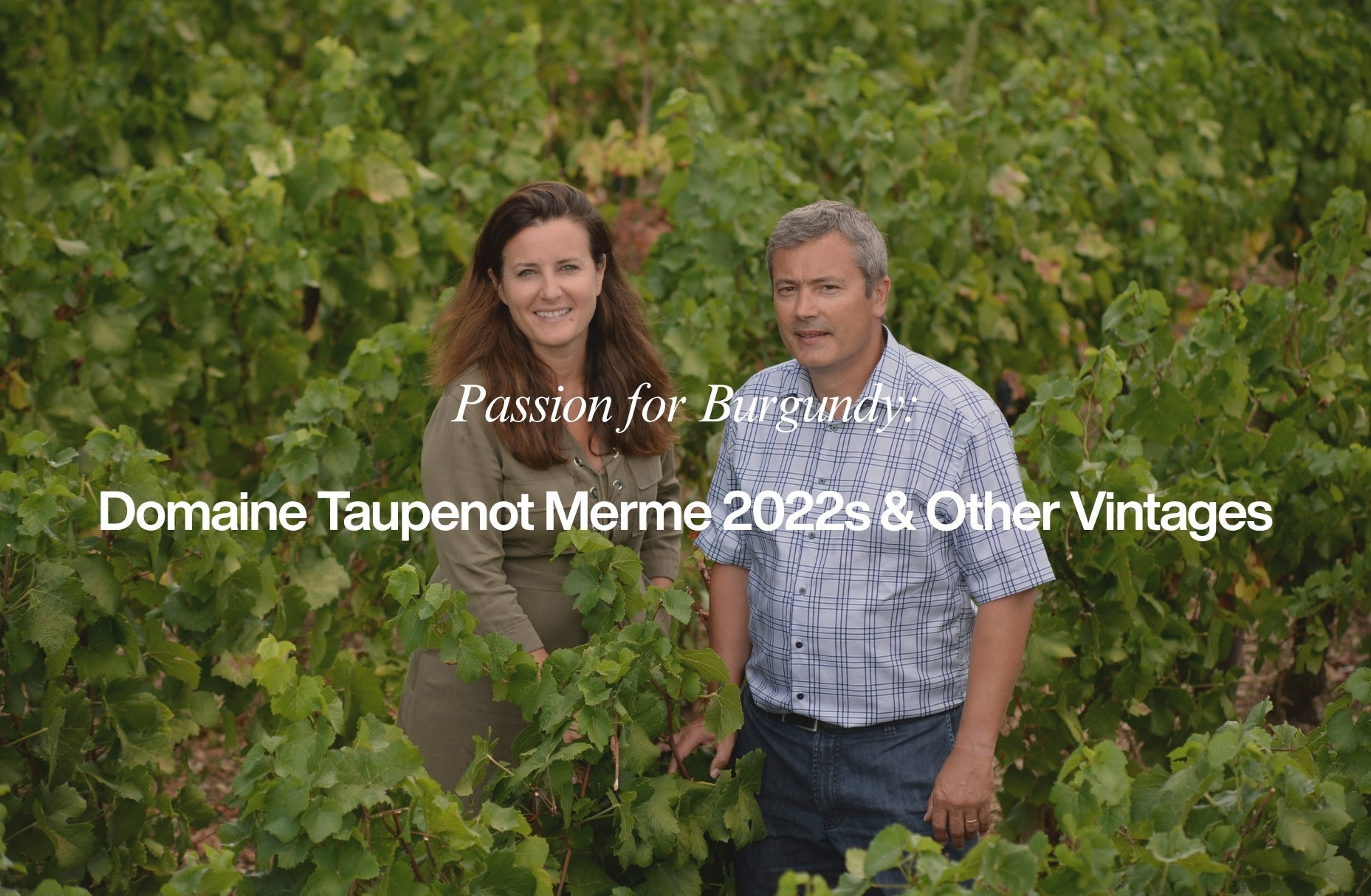 Passion for Burgundy: Domaine Taupenot Merme 2022s & Other Vintages