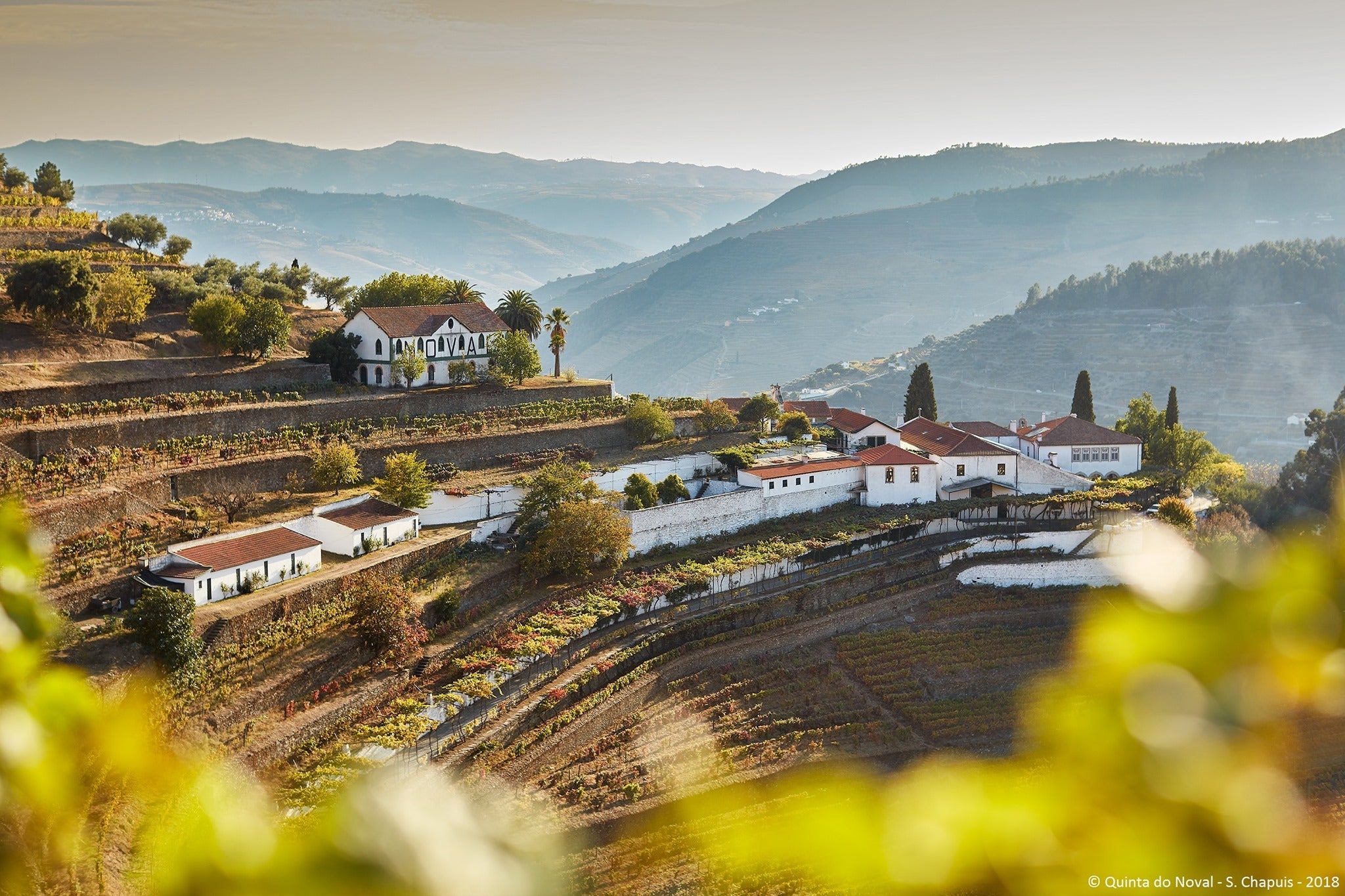 Quinta do Noval