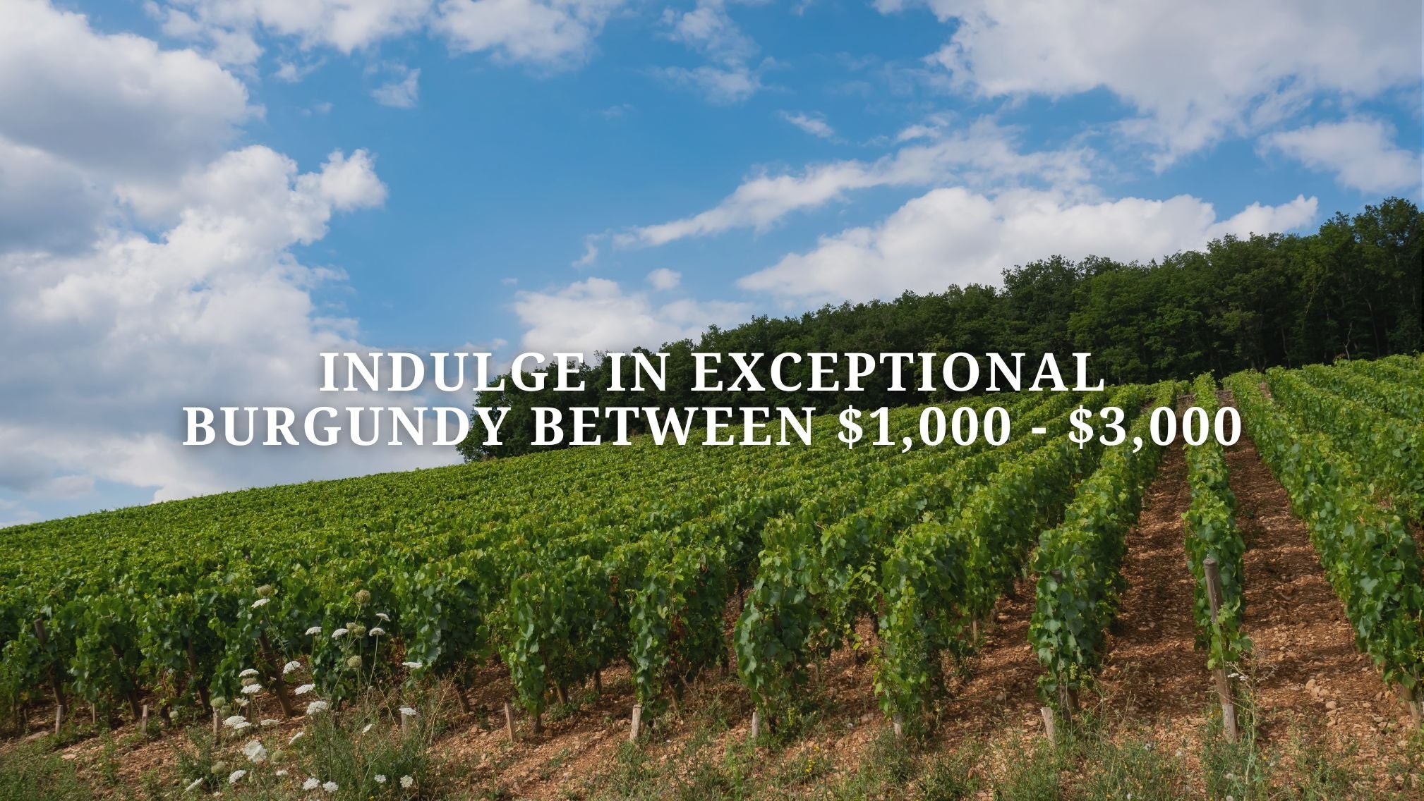 Indulge in Exceptional Burgundy Between $1,000 - $3,000