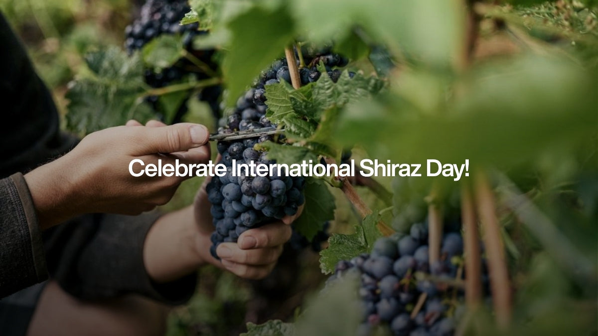 Celebrate International Shiraz Day!
