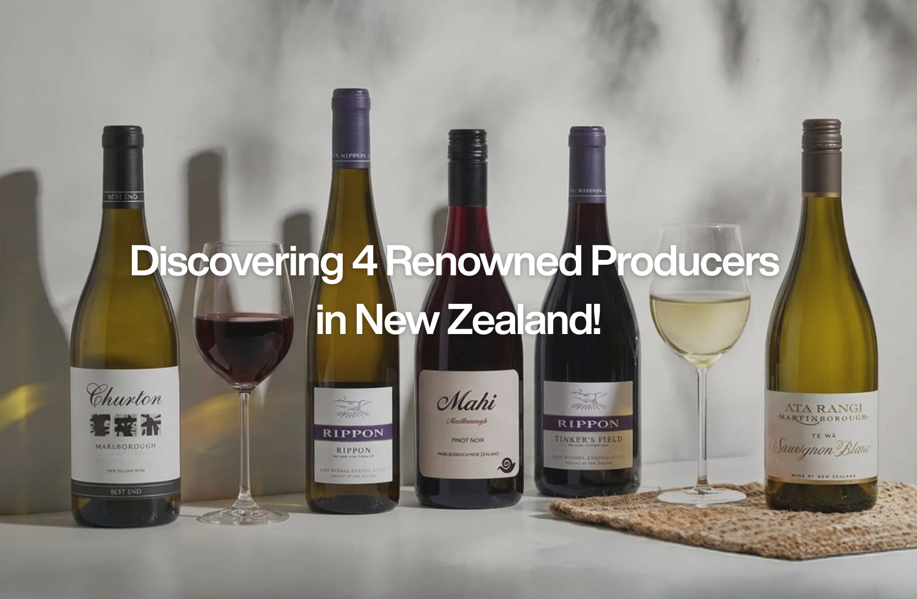 Discovering 4 Renowned Producers in New Zealand!