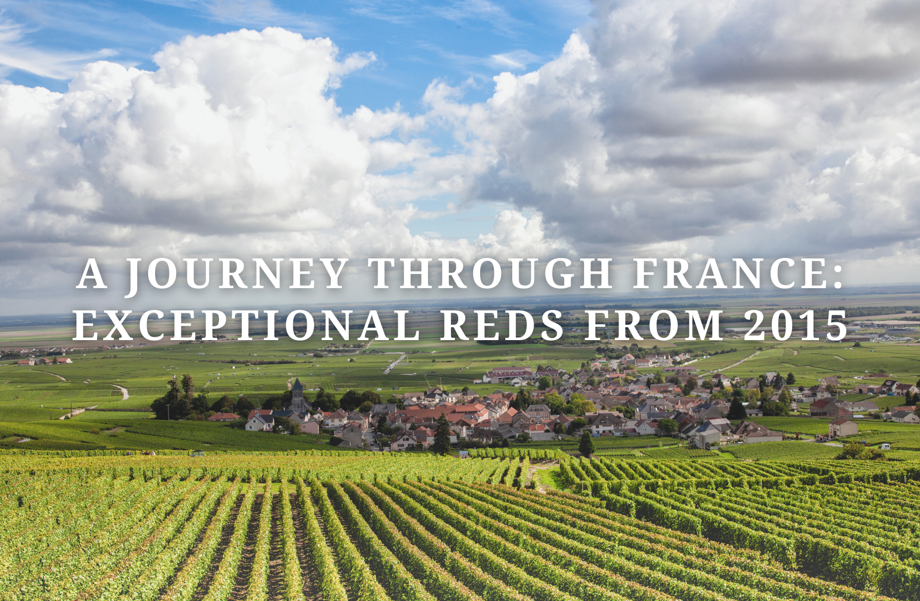 A Journey Through France Exceptional reds from 2015