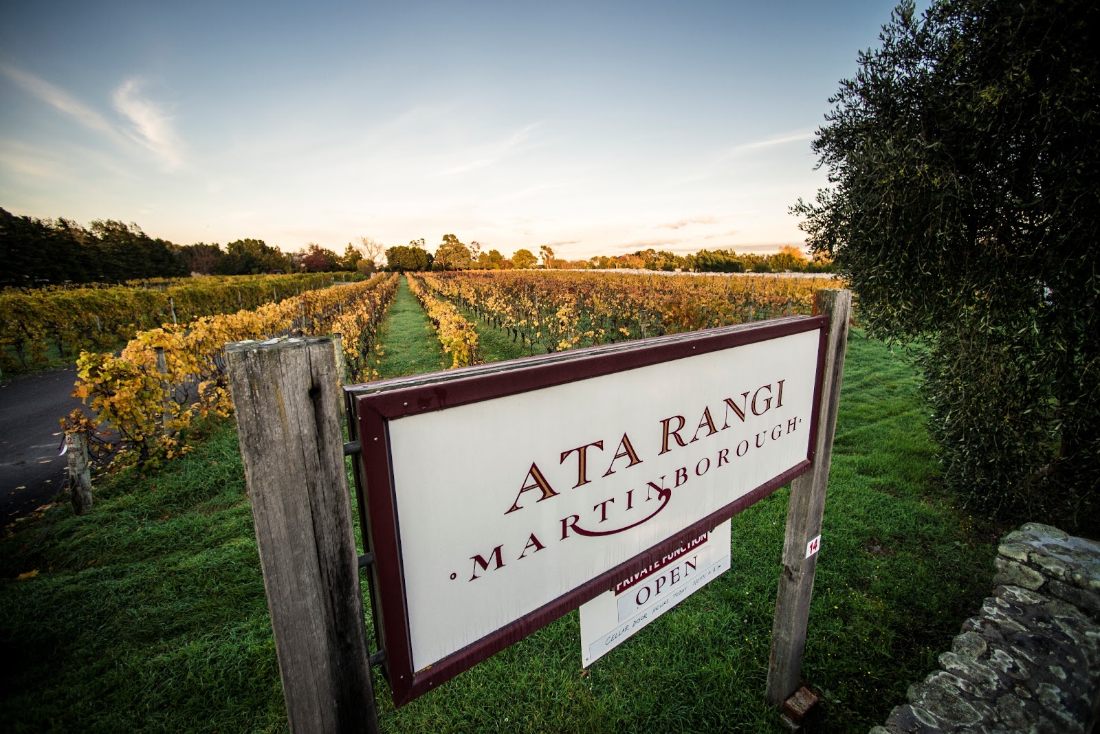 Ata Rangi