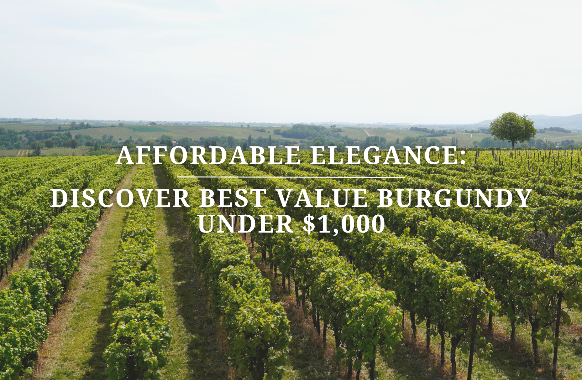 Affordable Elegance: Discover Best Value Burgundy Under $1,000