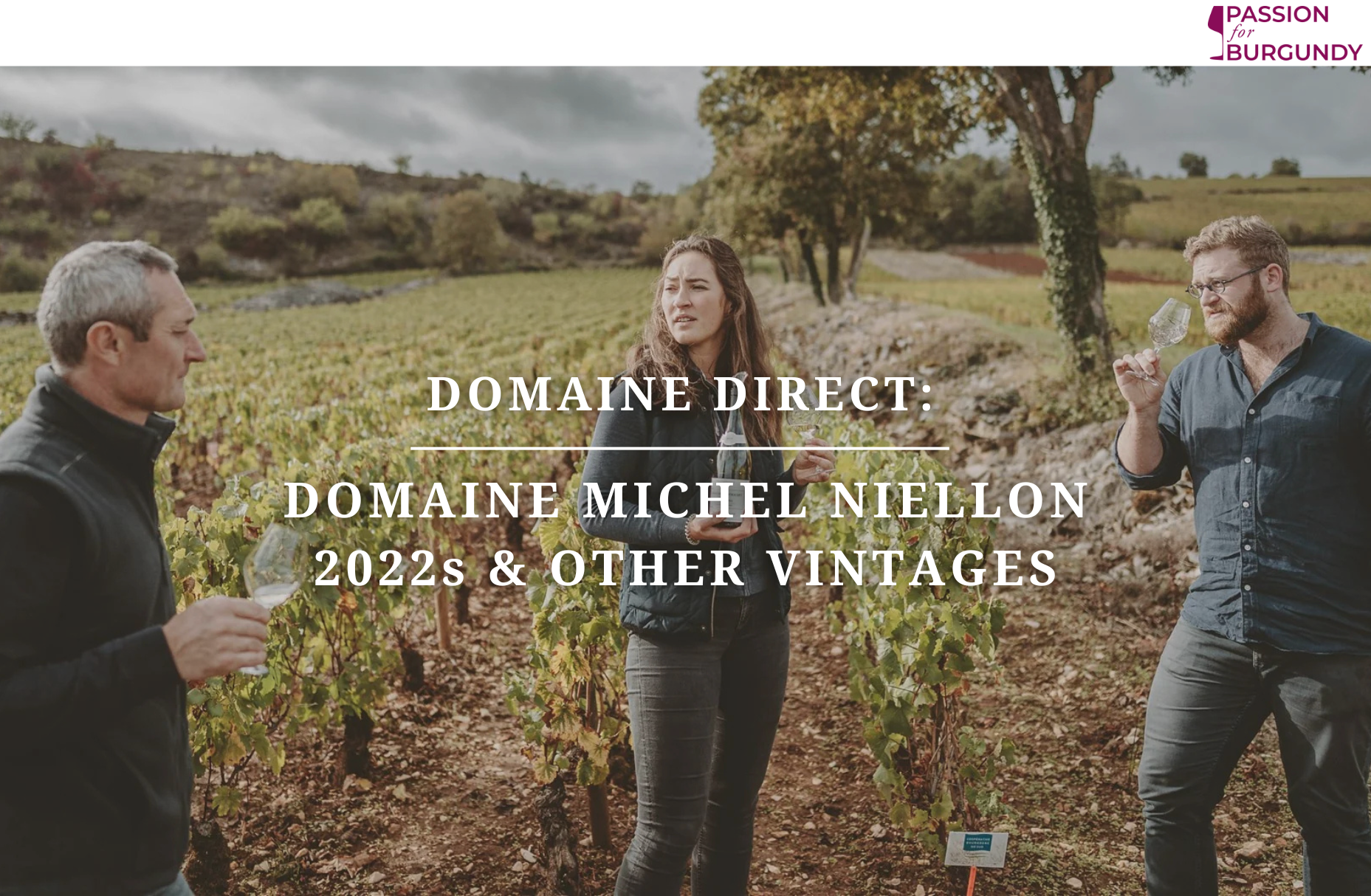 Domaine Direct: Michel Niellon 2022s & Other Vintages