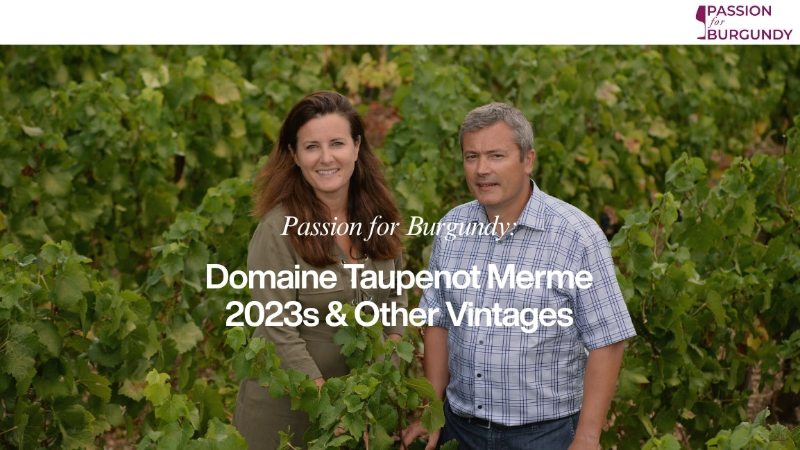 Passion for Burgundy: Domaine Taupenot Merme 2023s & Other Vintages