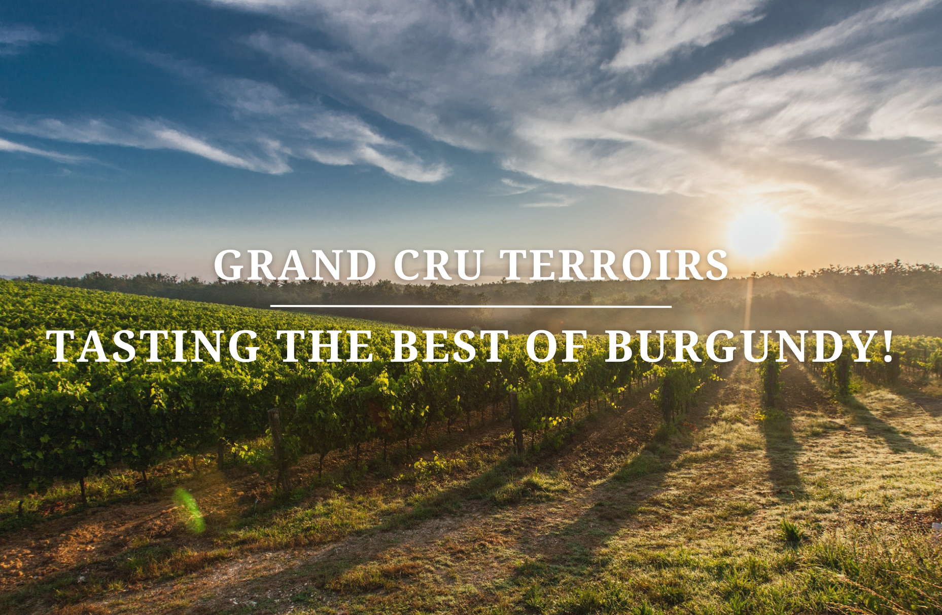 Grand Cru Terroirs: Tasting the Best of Burgundy!