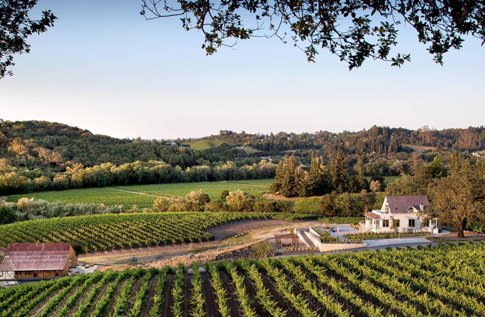 New Arrivals: Kistler 2022s & Other Vintages