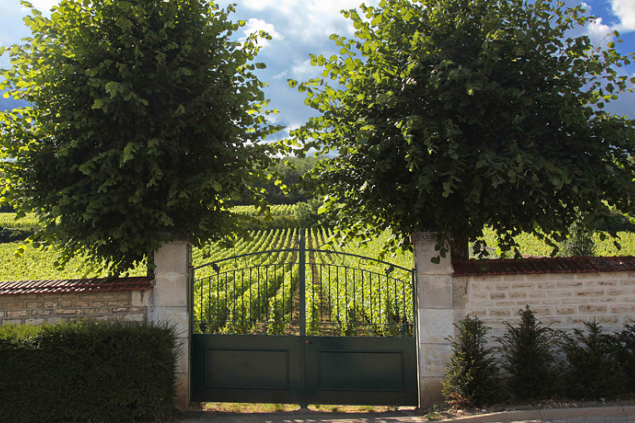 ⁠Michele et Patrice Rion