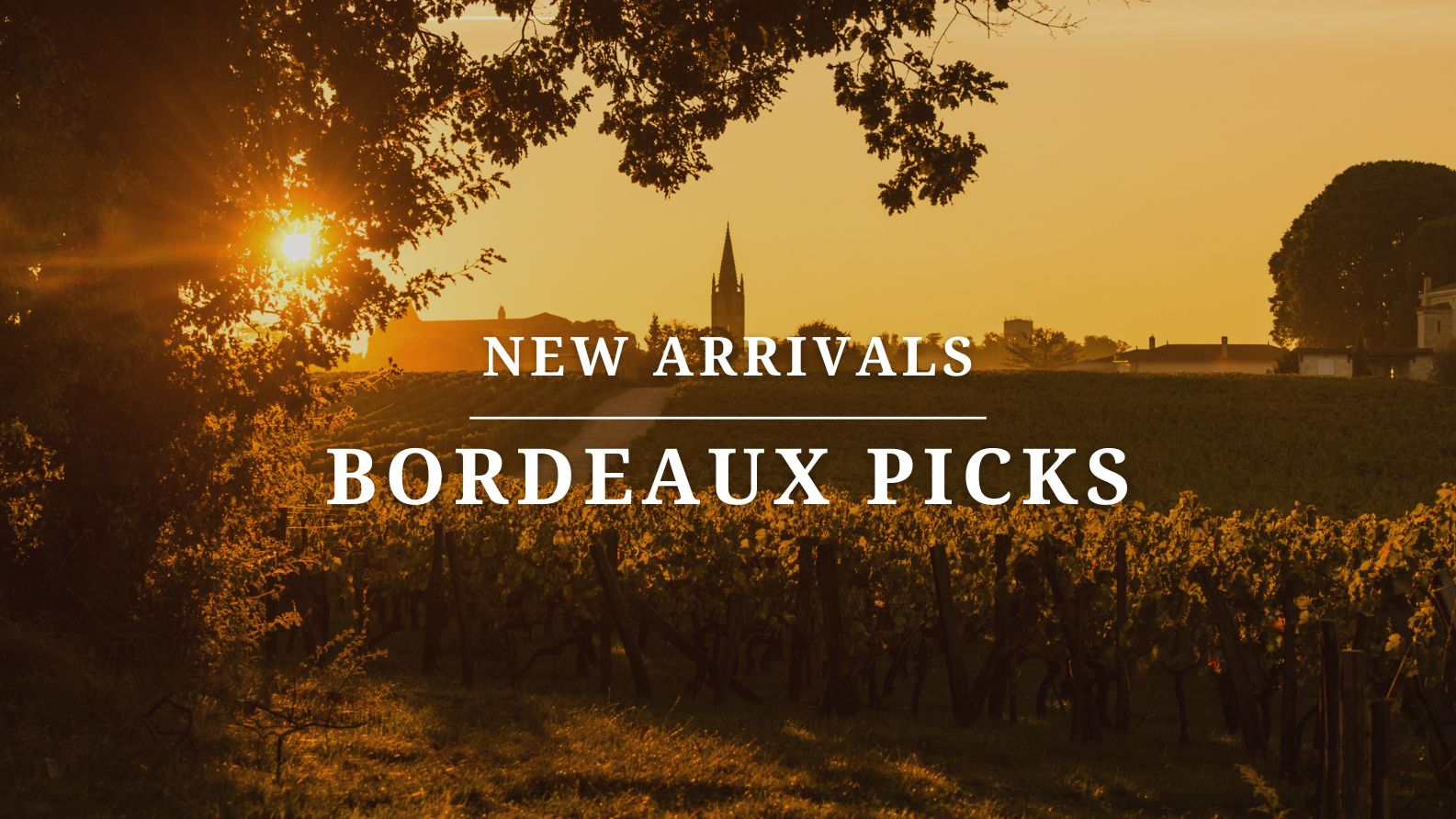 New Arrivals: Bordeaux Picks