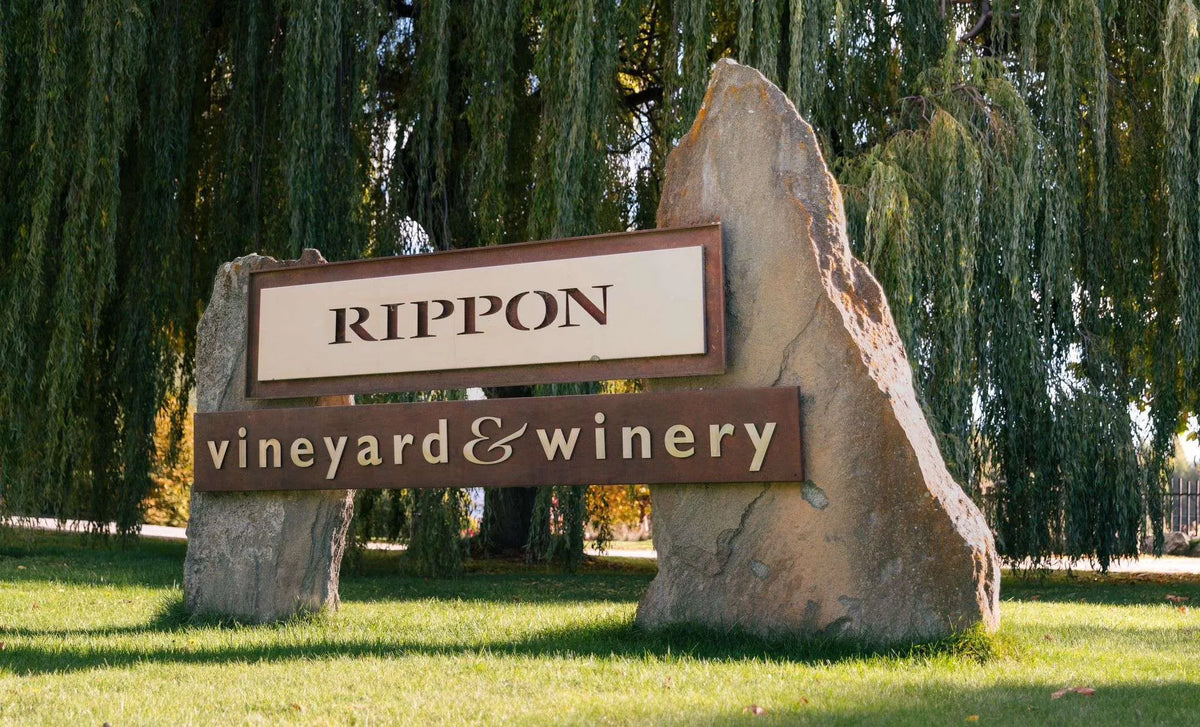 Robert Rippon Rippon
