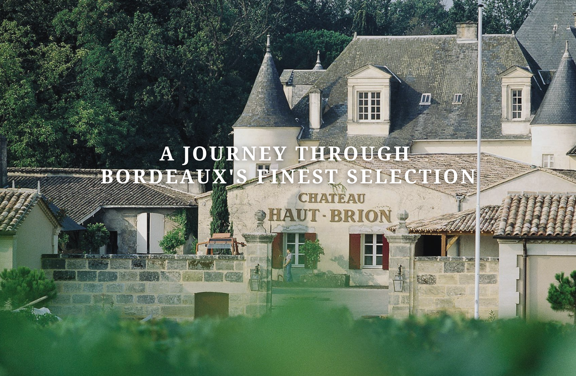 A Journey Through Bordeaux's Finest Selection
