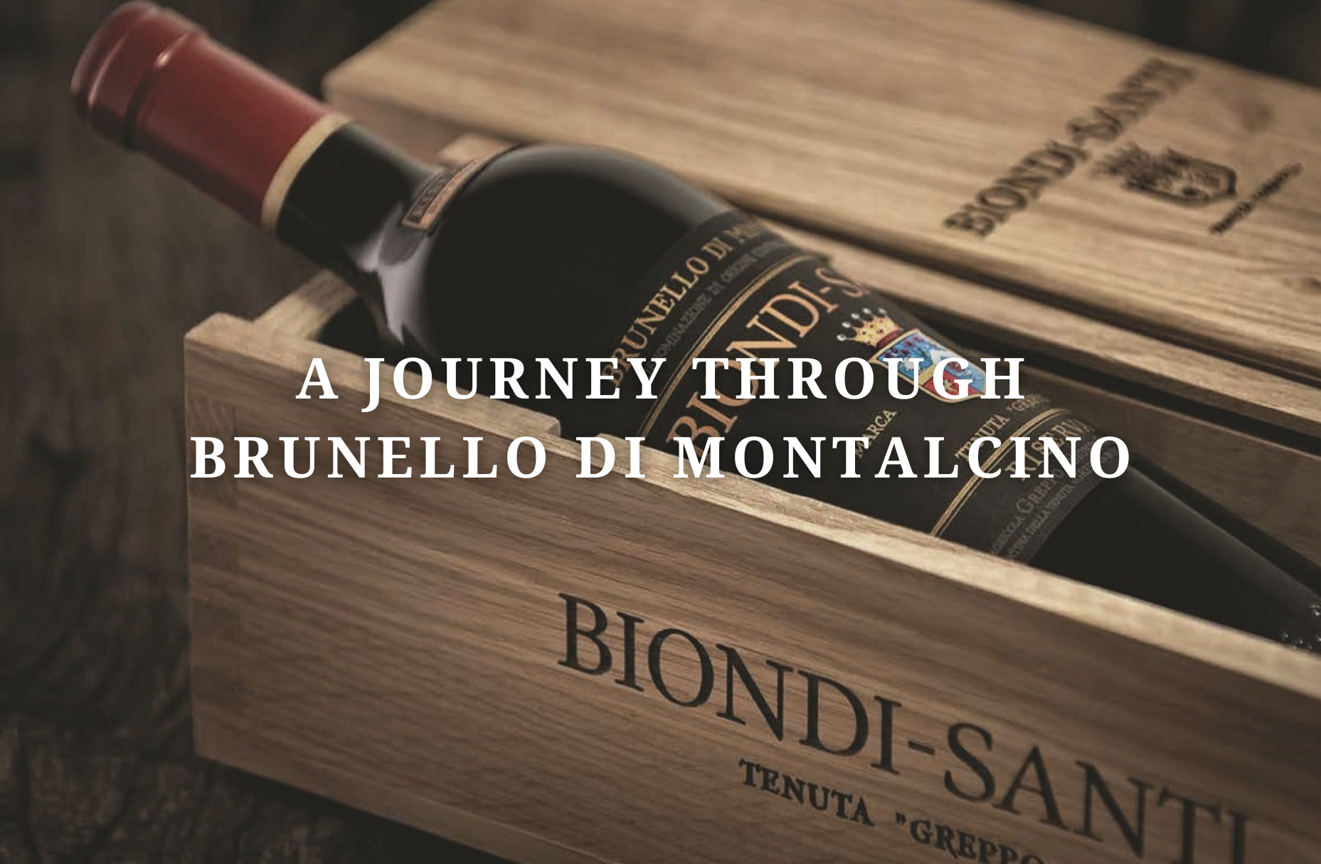 A Journey Through Brunello di Montalcino