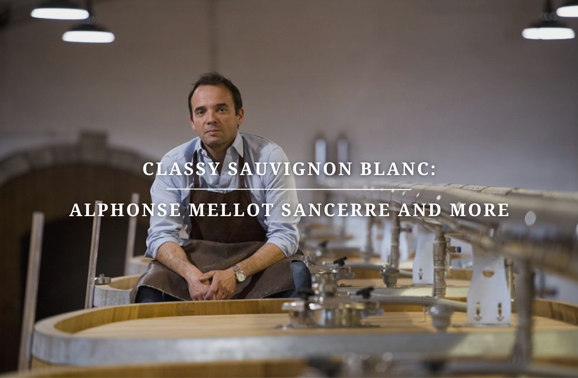 Classy Sauvignon Blanc: Alphonse Mellot Sancerre and More