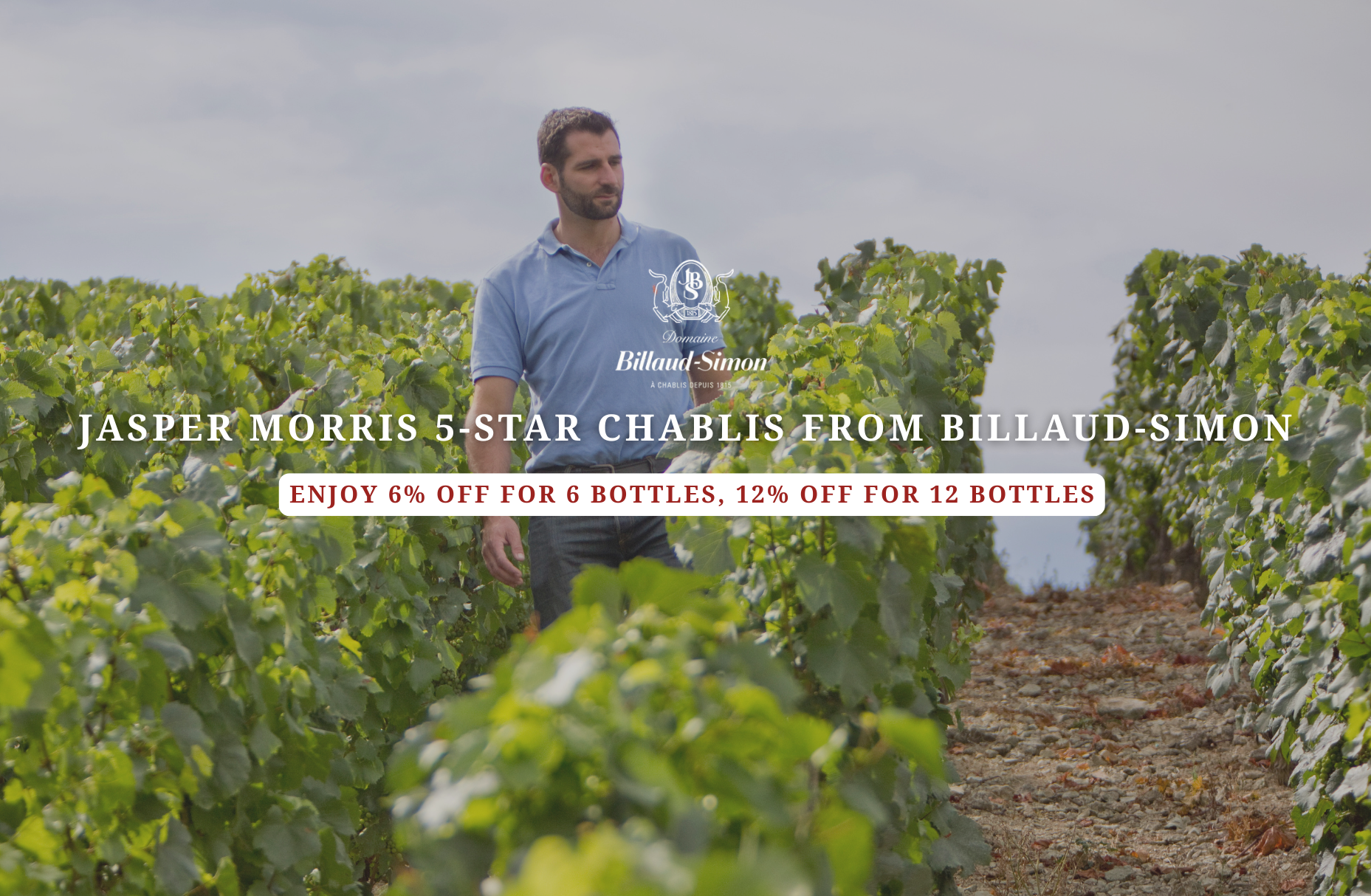 Jasper Morris 5-Star Chablis from Billaud-Simon