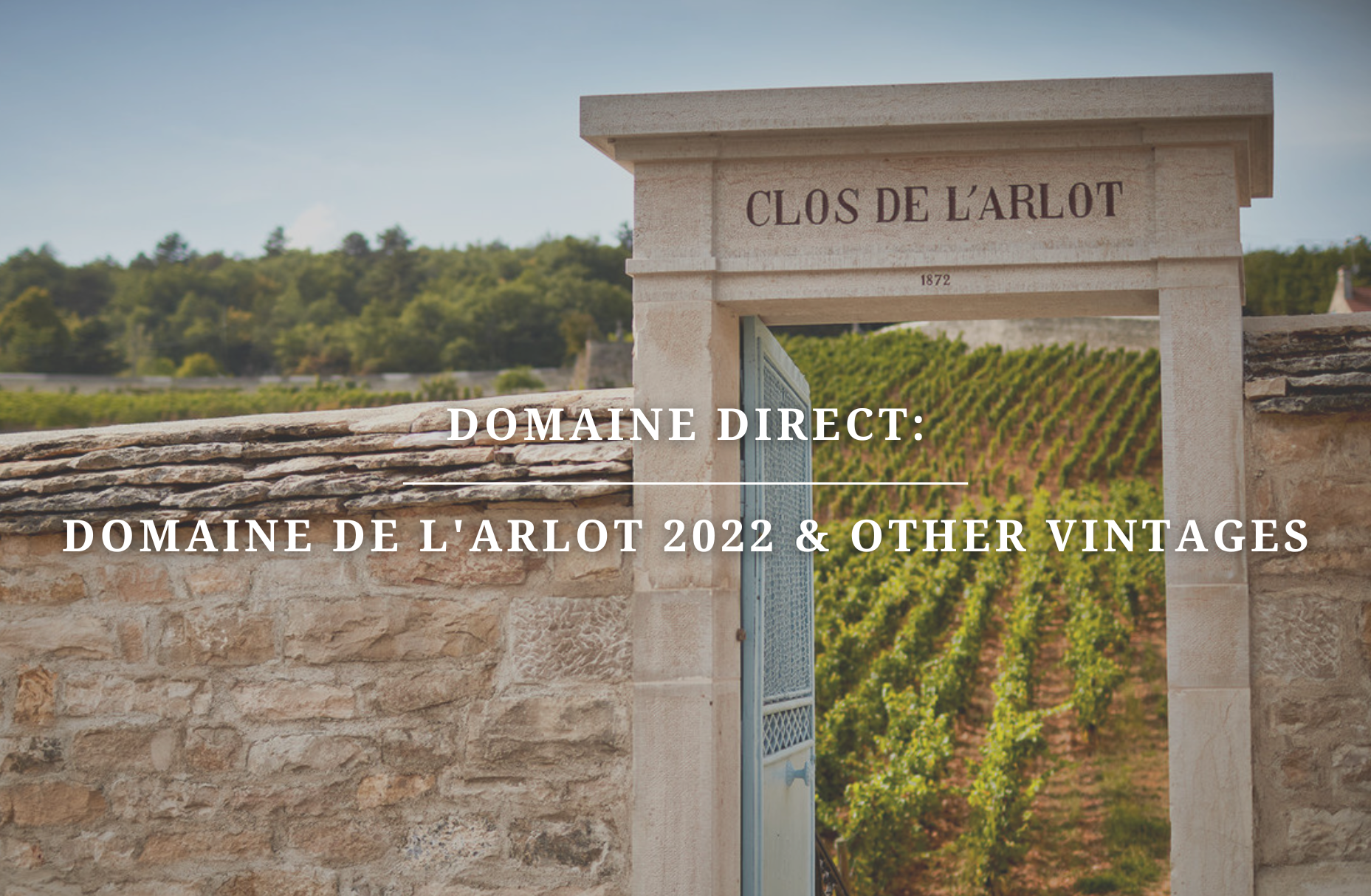 Domaine Direct: Domaine de L'Arlot 2022s & Other Vintages