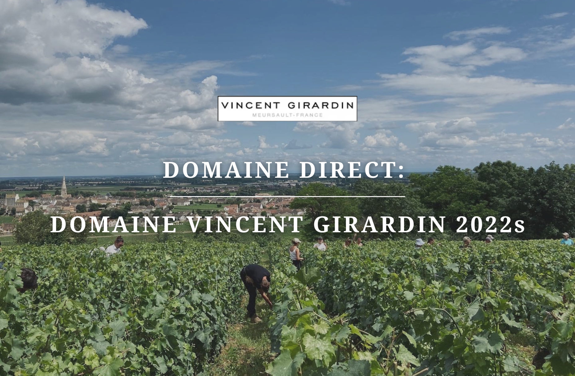 Domaine Direct: Vincent Girardin 2022s