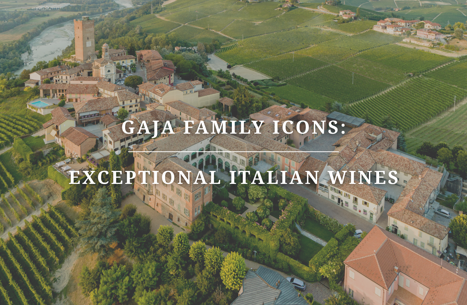 Gaja Family Icons: Exceptional Italian Wines