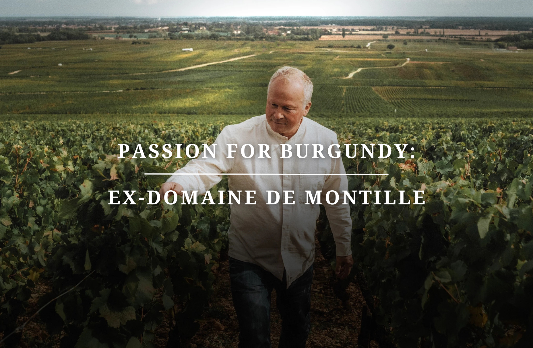 Passion for Burgundy: Ex-Domaine de Montille