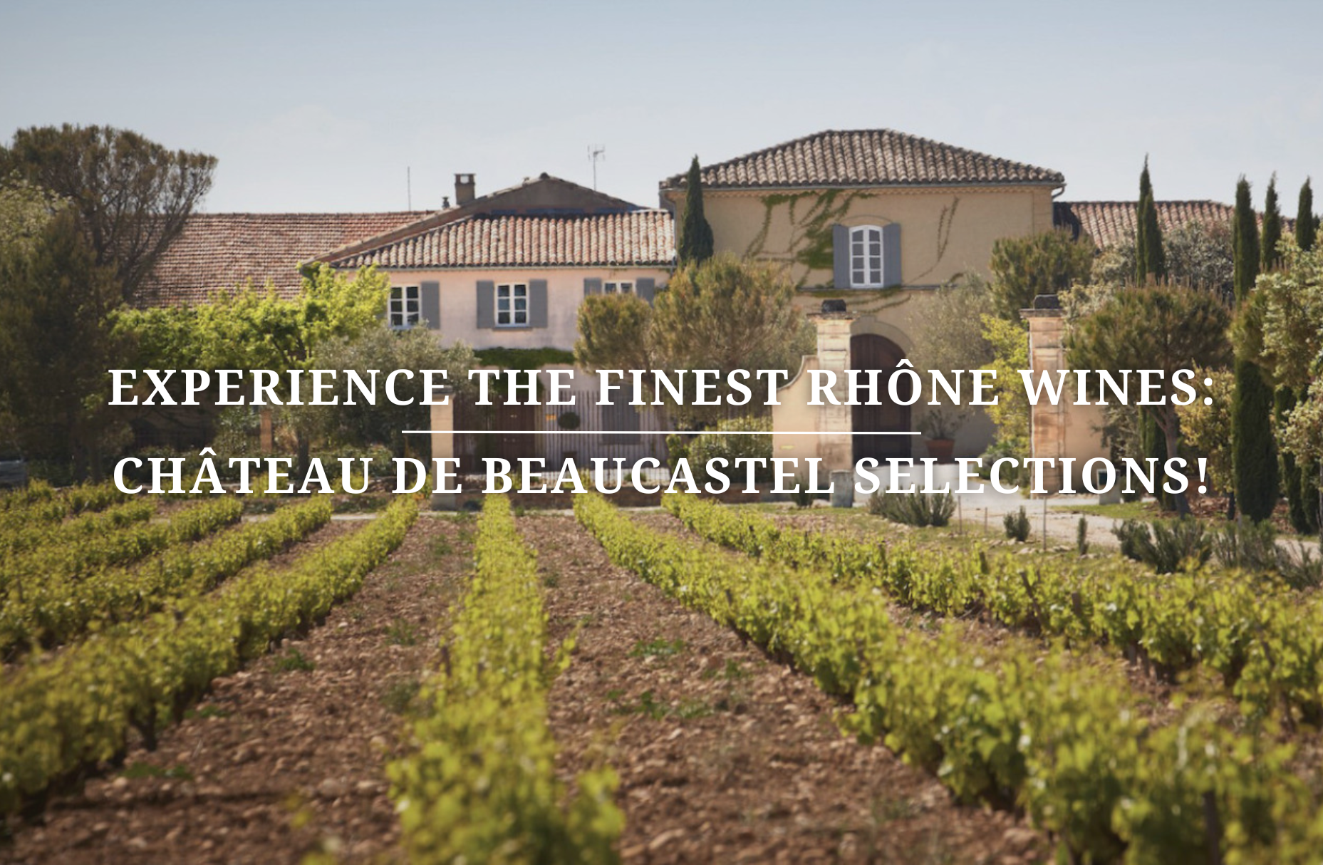 Experience the Finest Rhône Wines: Château de Beaucastel Selections!