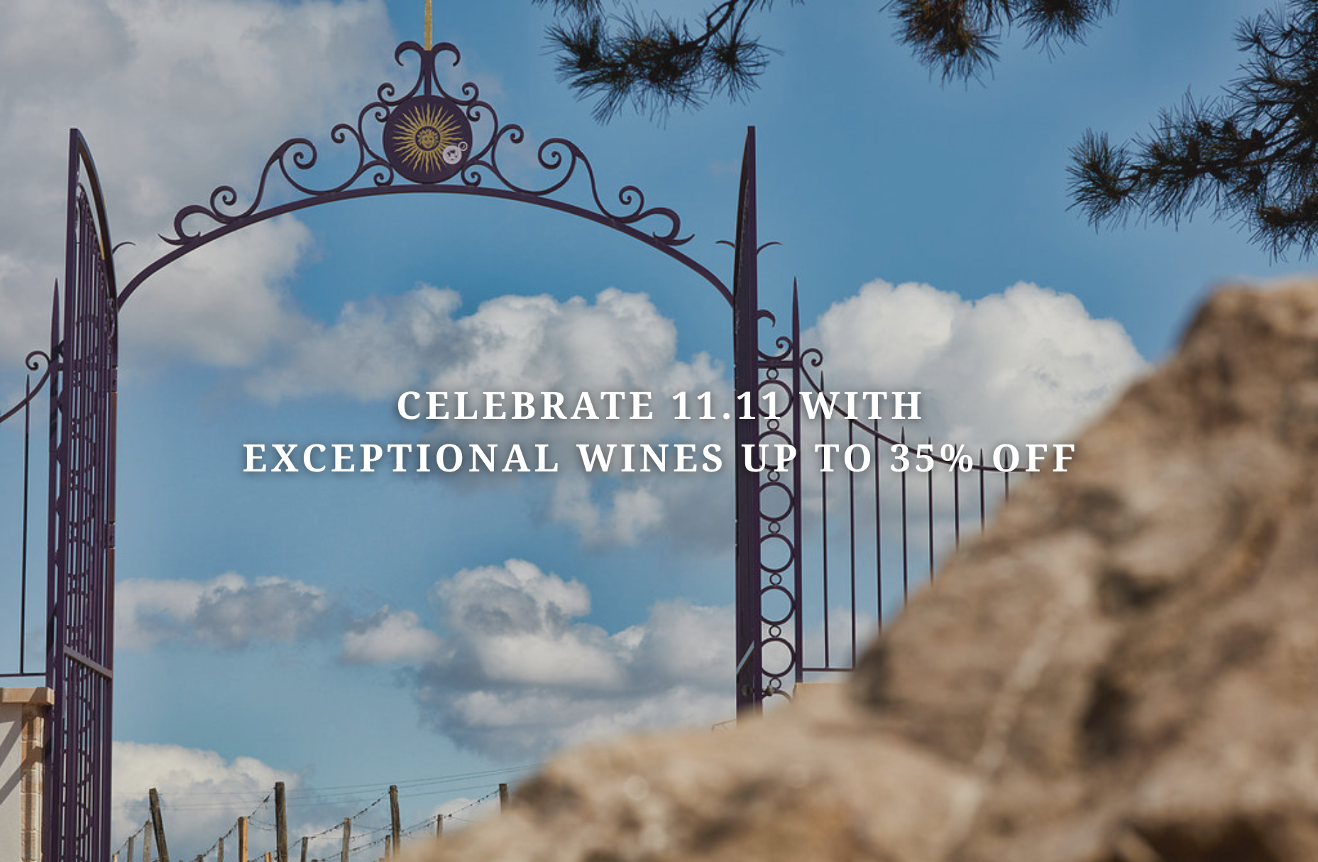 Celebrate 11.11 with Exceptional Wines Up to 35% Off