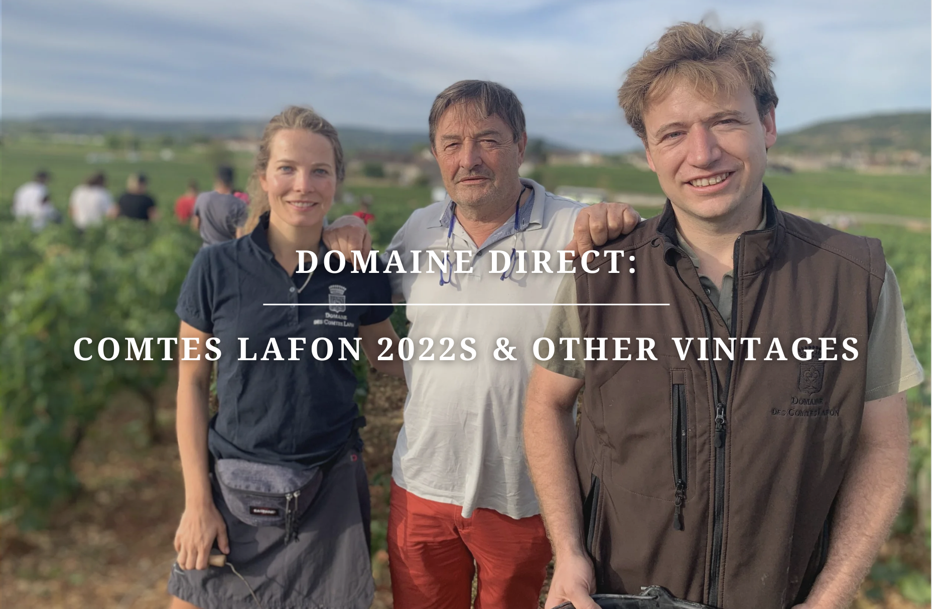 Domaine Direct: Comtes Lafon 2022s & Other Vintages