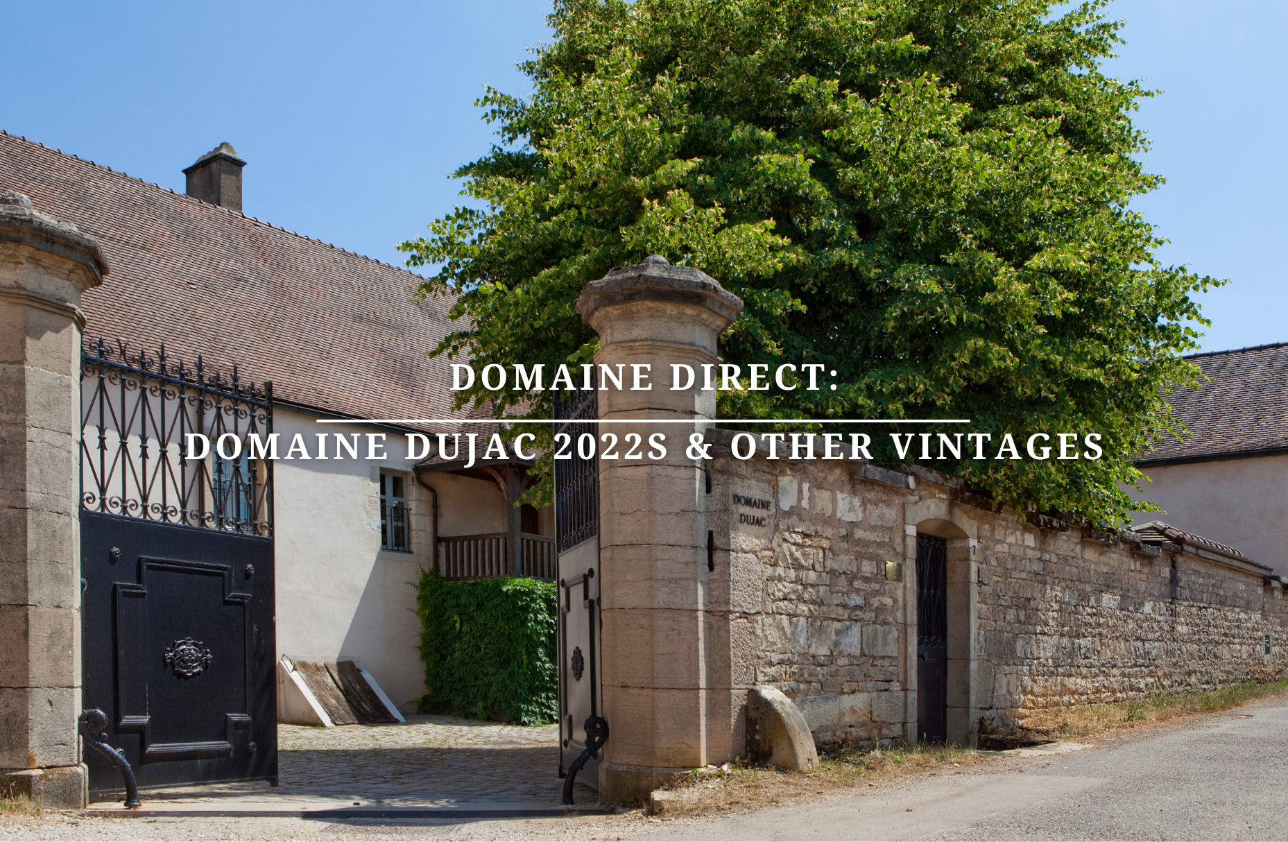 Domaine Direct: Domaine Dujac 2022s & Other Vintages