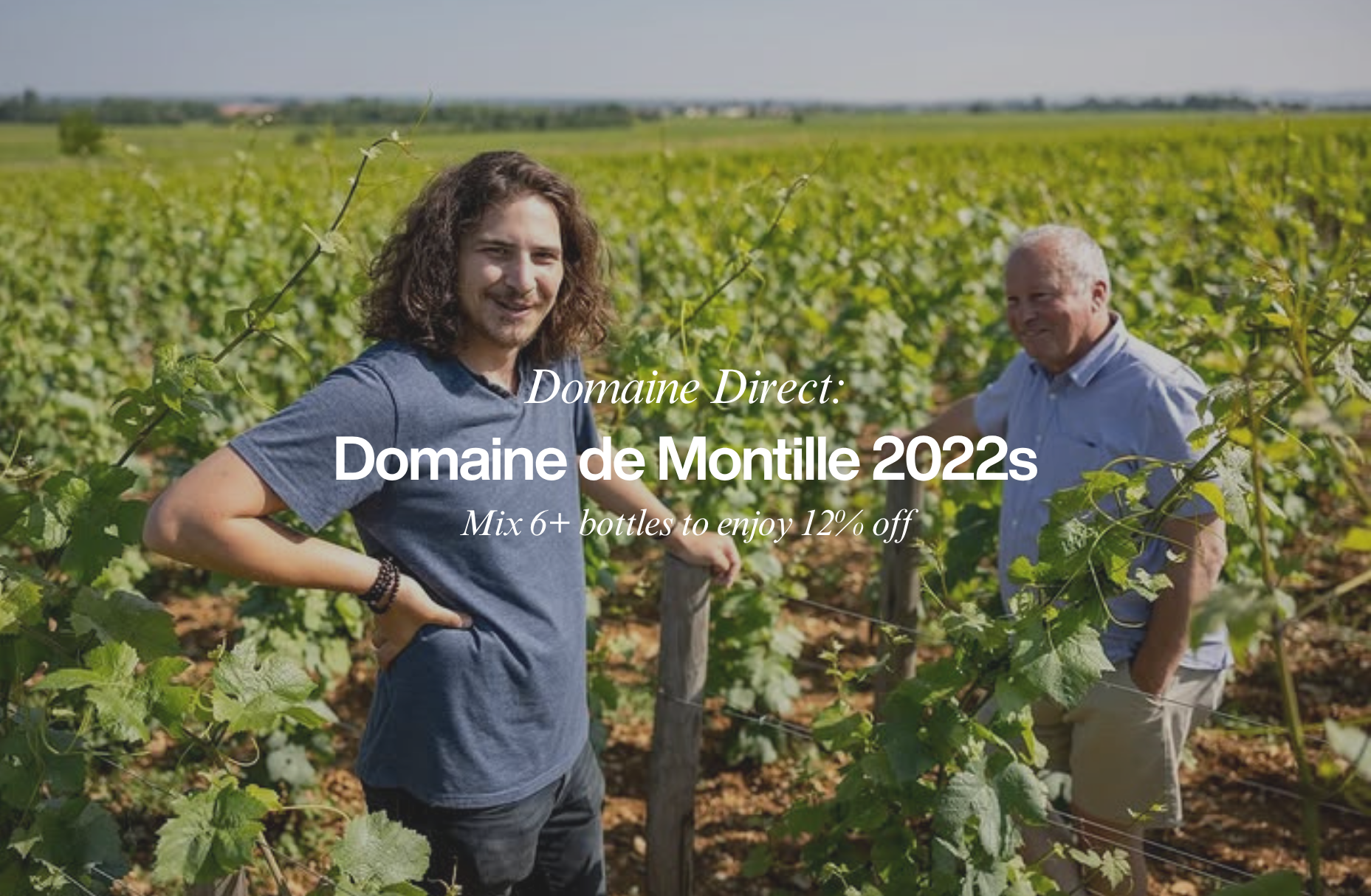 Domaine Direct: Domaine de Montille 2022s