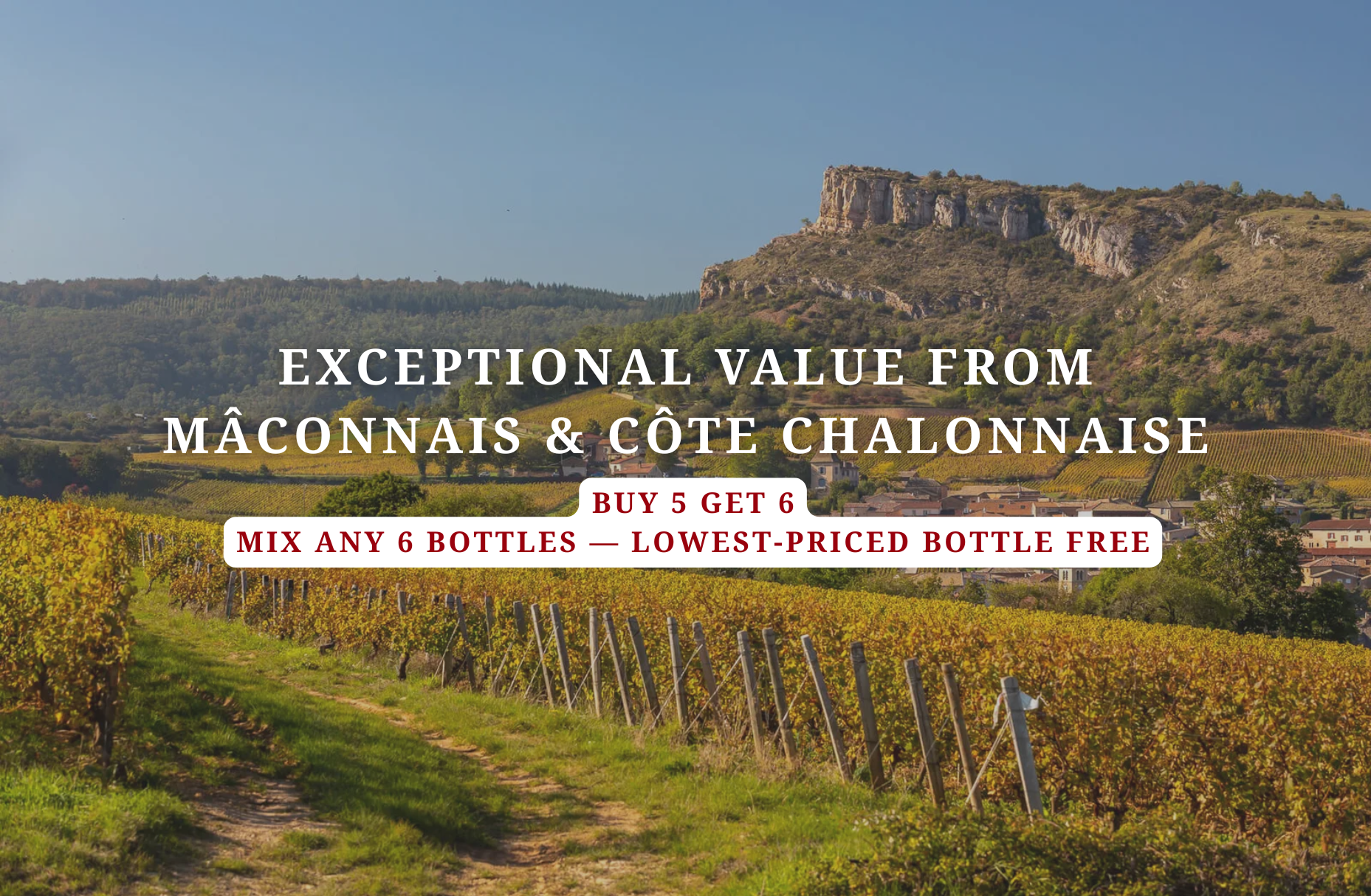 Exceptional Value from Mâconnais and Côte Chalonnaise - Buy 5 Get 6