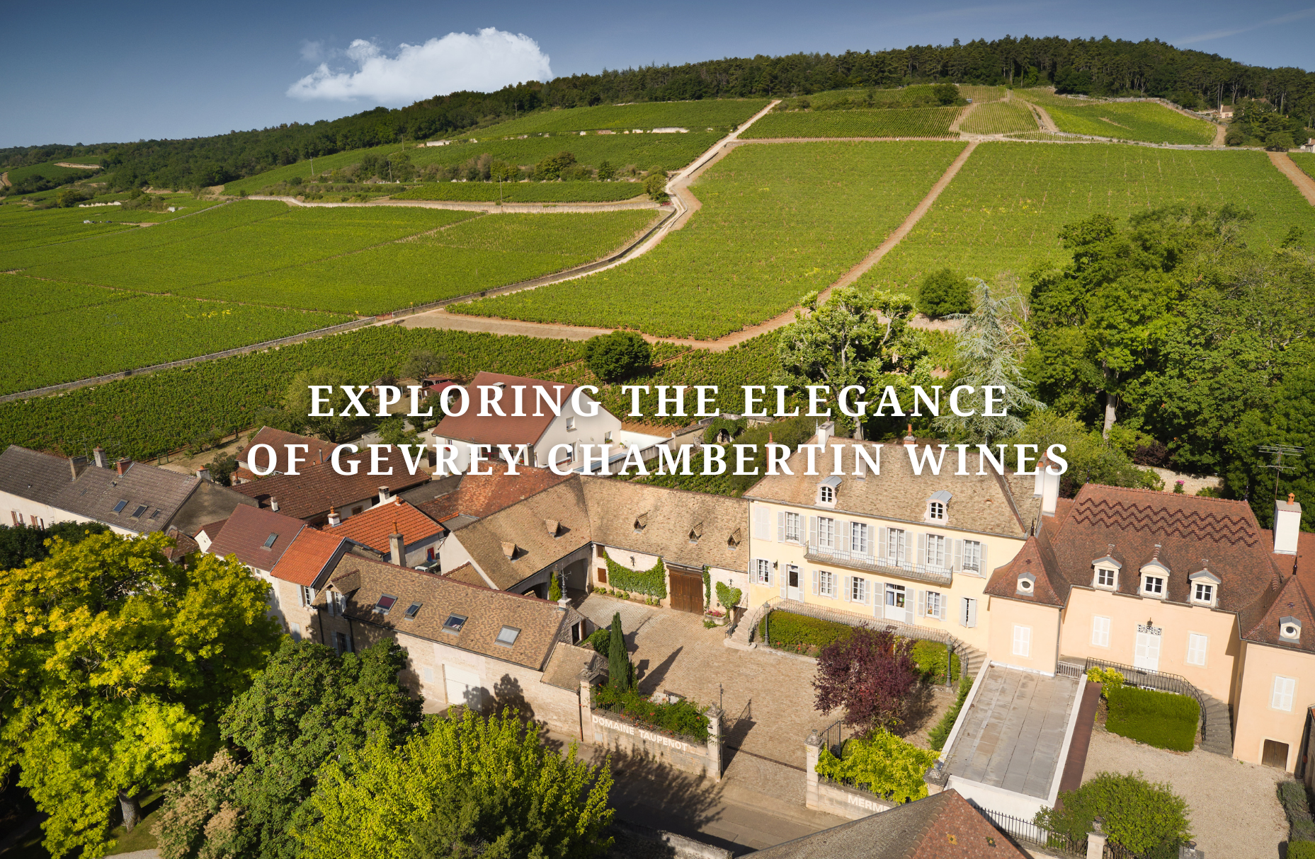 Exploring the Elegance of Gevrey Chambertin Wines