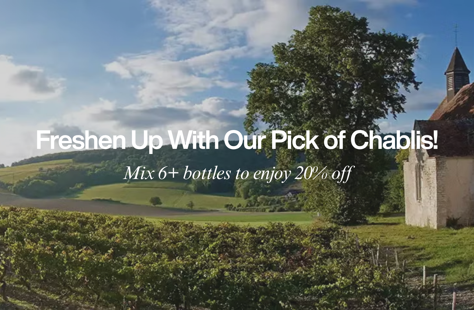 Freshen Up With Our Pick of Chablis!