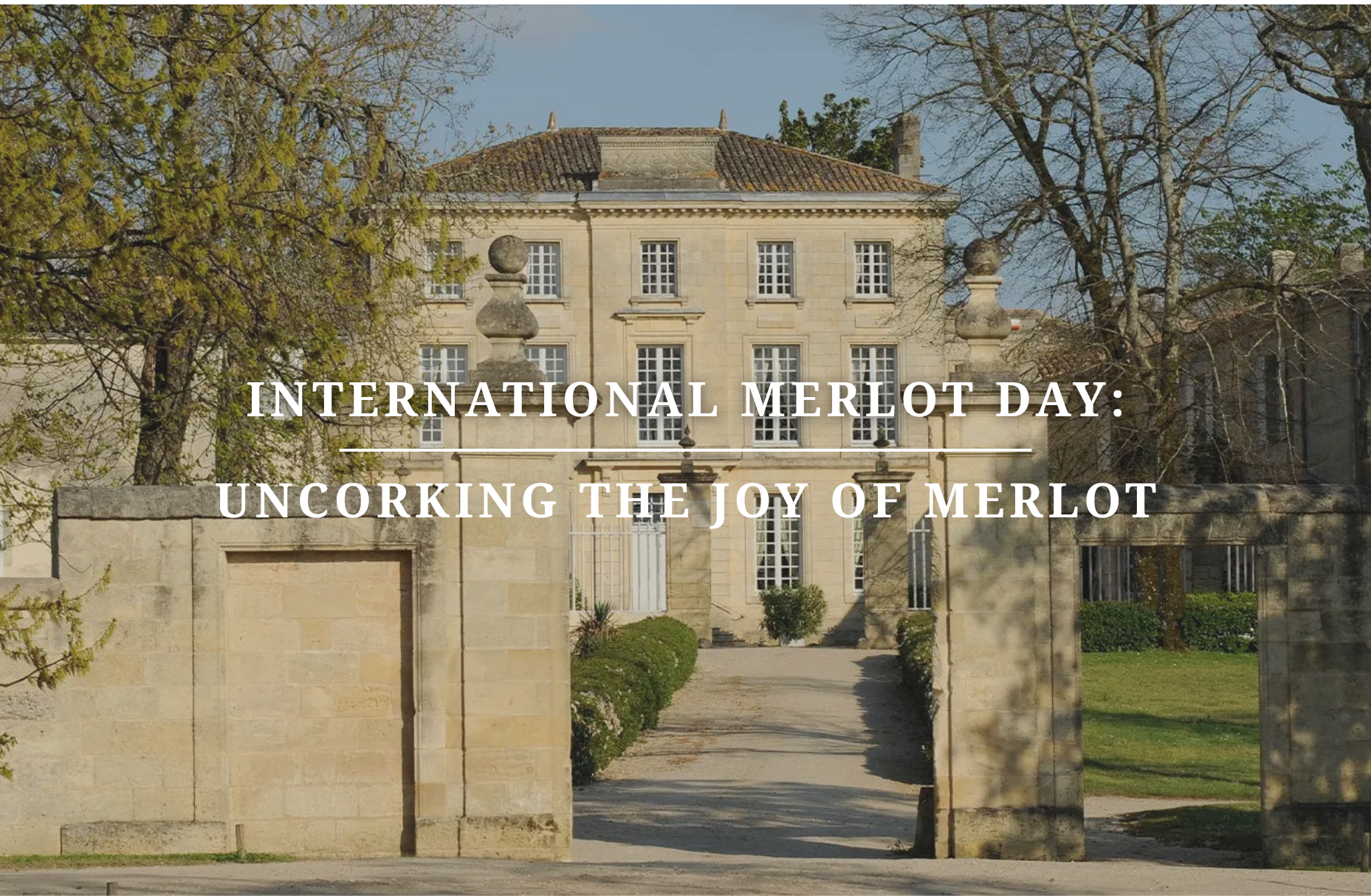 International Merlot Day: Uncorking the Joy of Merlot