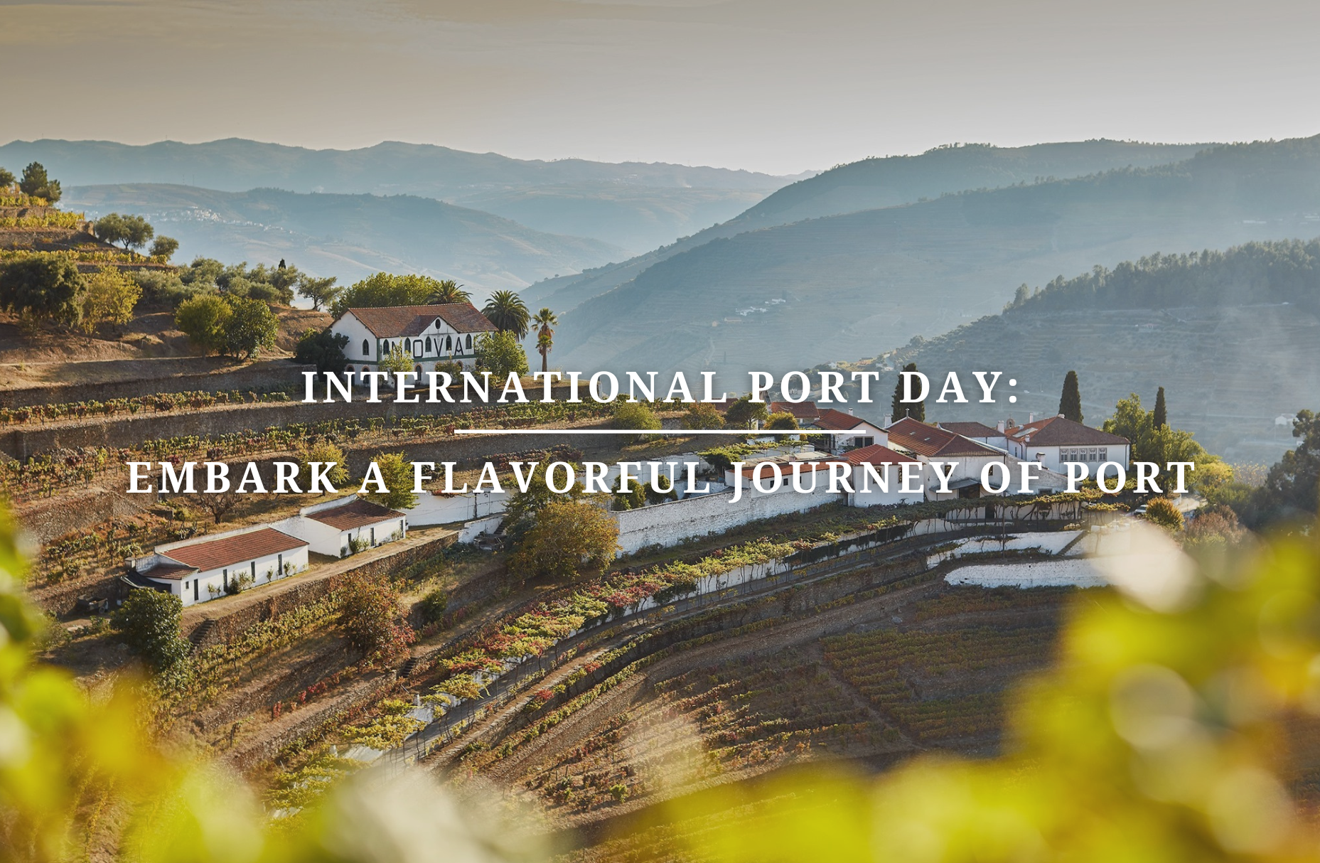 International Port Day: Embark A Flavorful Journey of Port