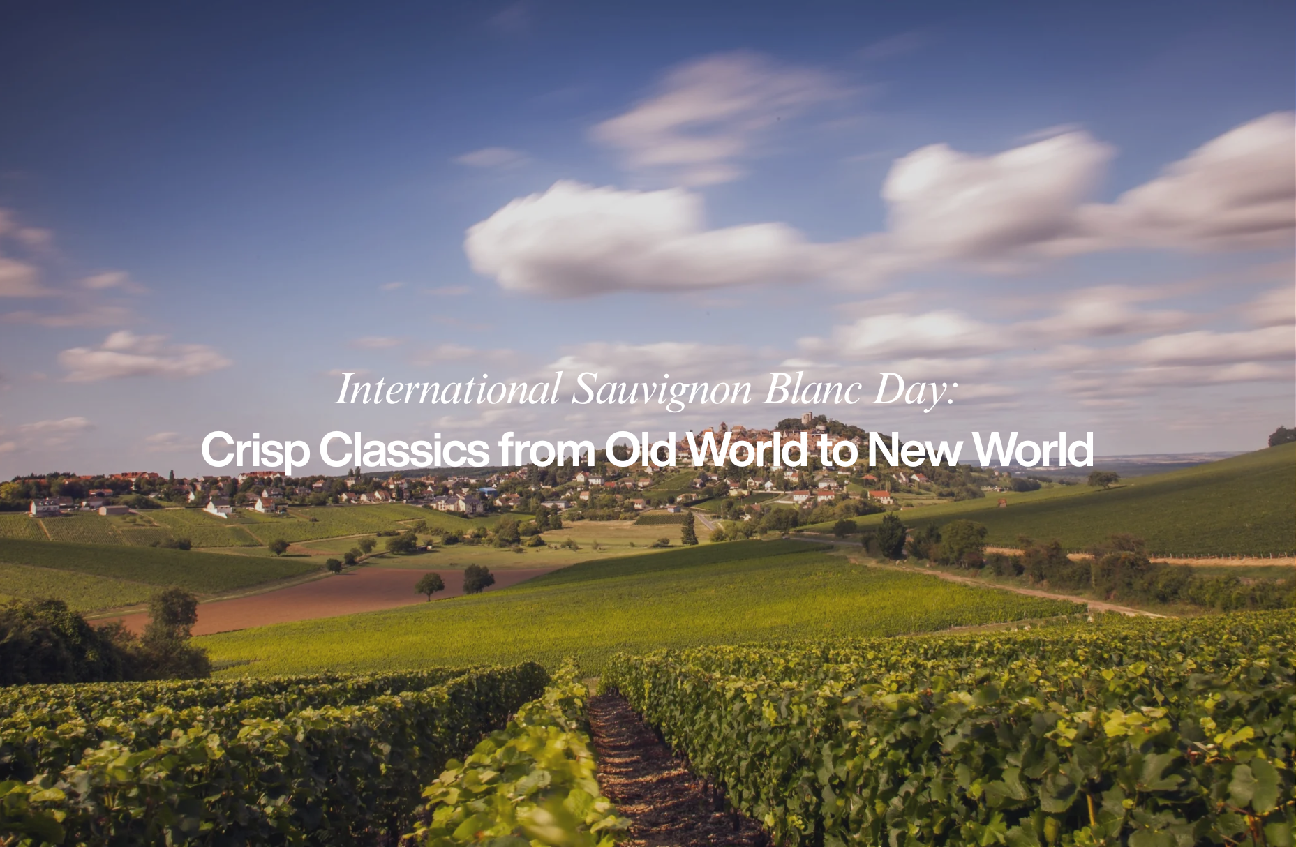 International Sauvignon Blanc Day: Crisp Classics from Old World to New World