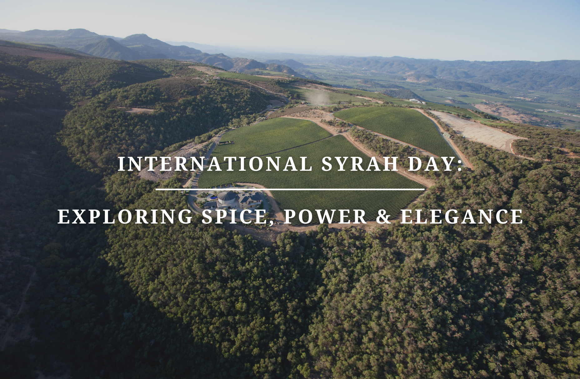 International Syrah Day: Exploring Spice, Power & Elegance