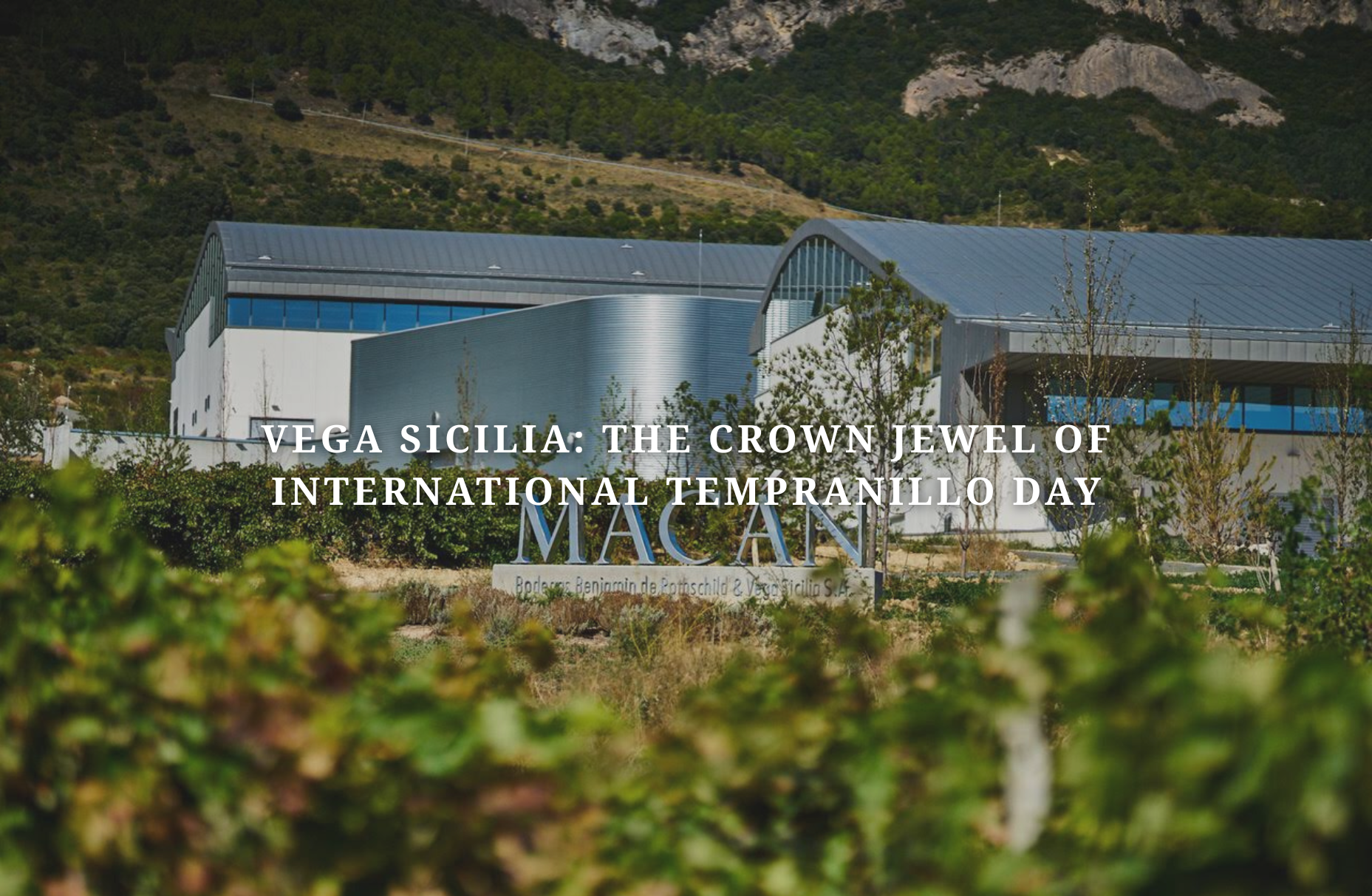 Vega Sicilia: The Crown Jewel of International Tempranillo Day