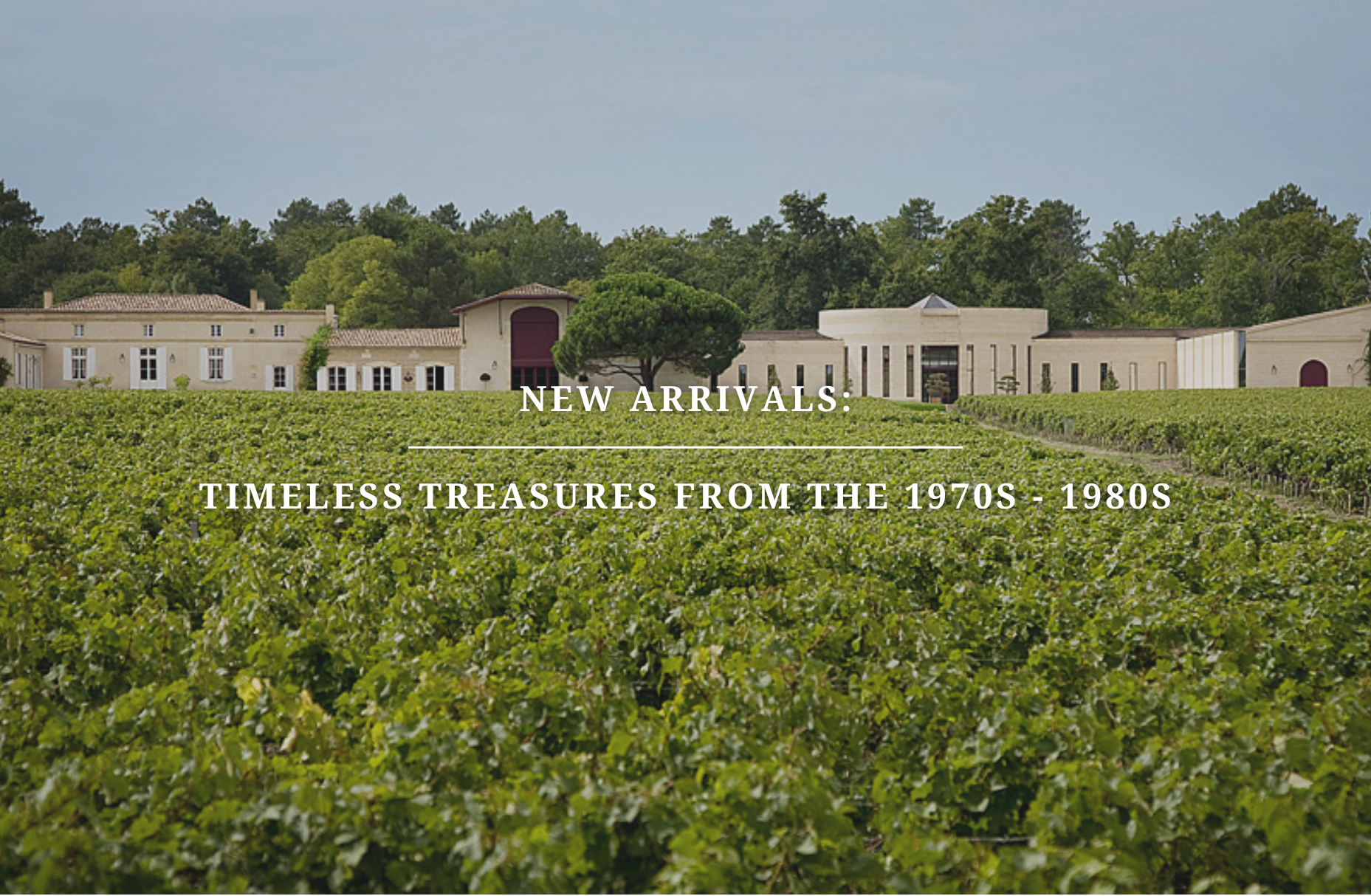 New Arrivals: Timeless Treasures from the 1970s - 1980s